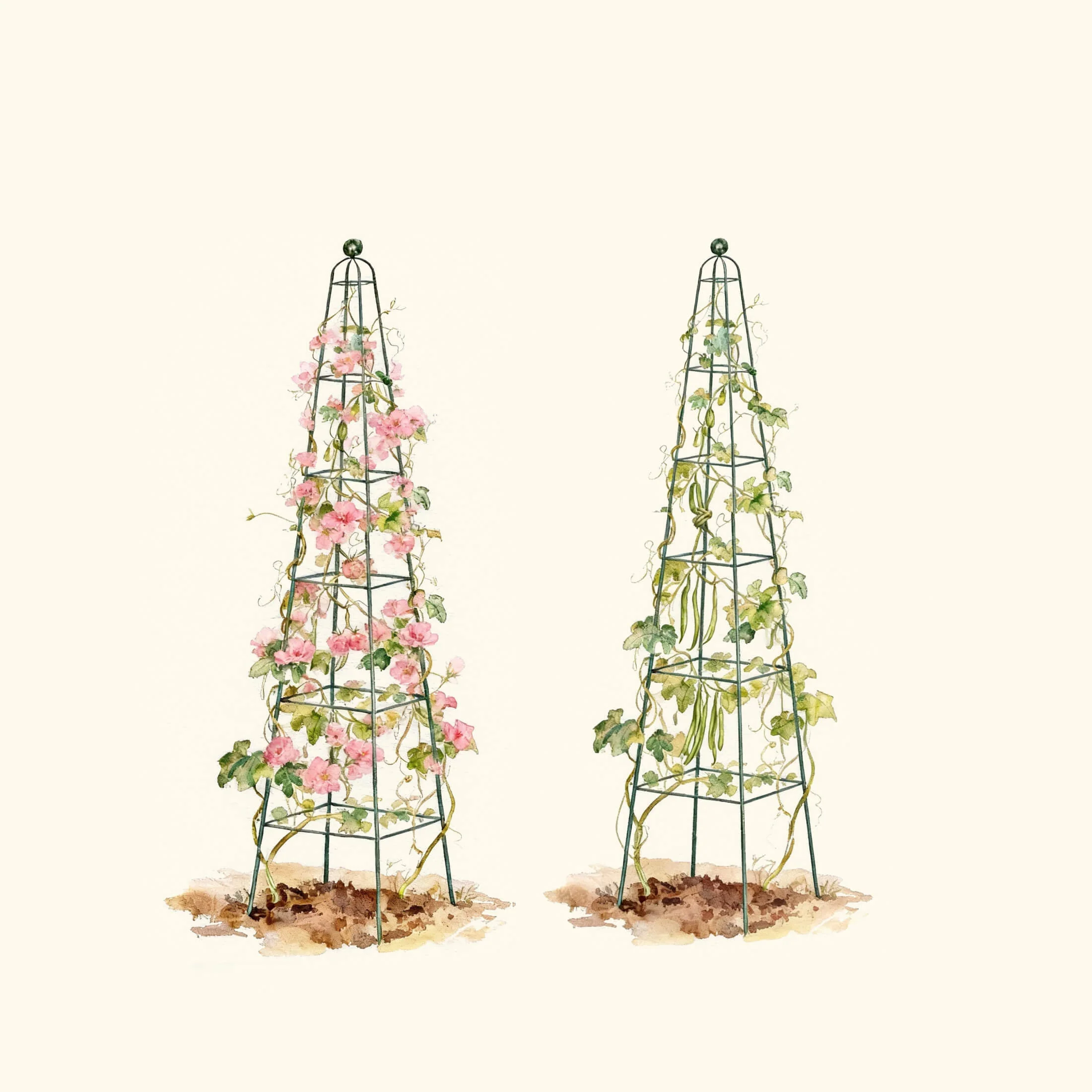 Pyramid Obelisk Garden Trellis - 7.8 ft - Image 4