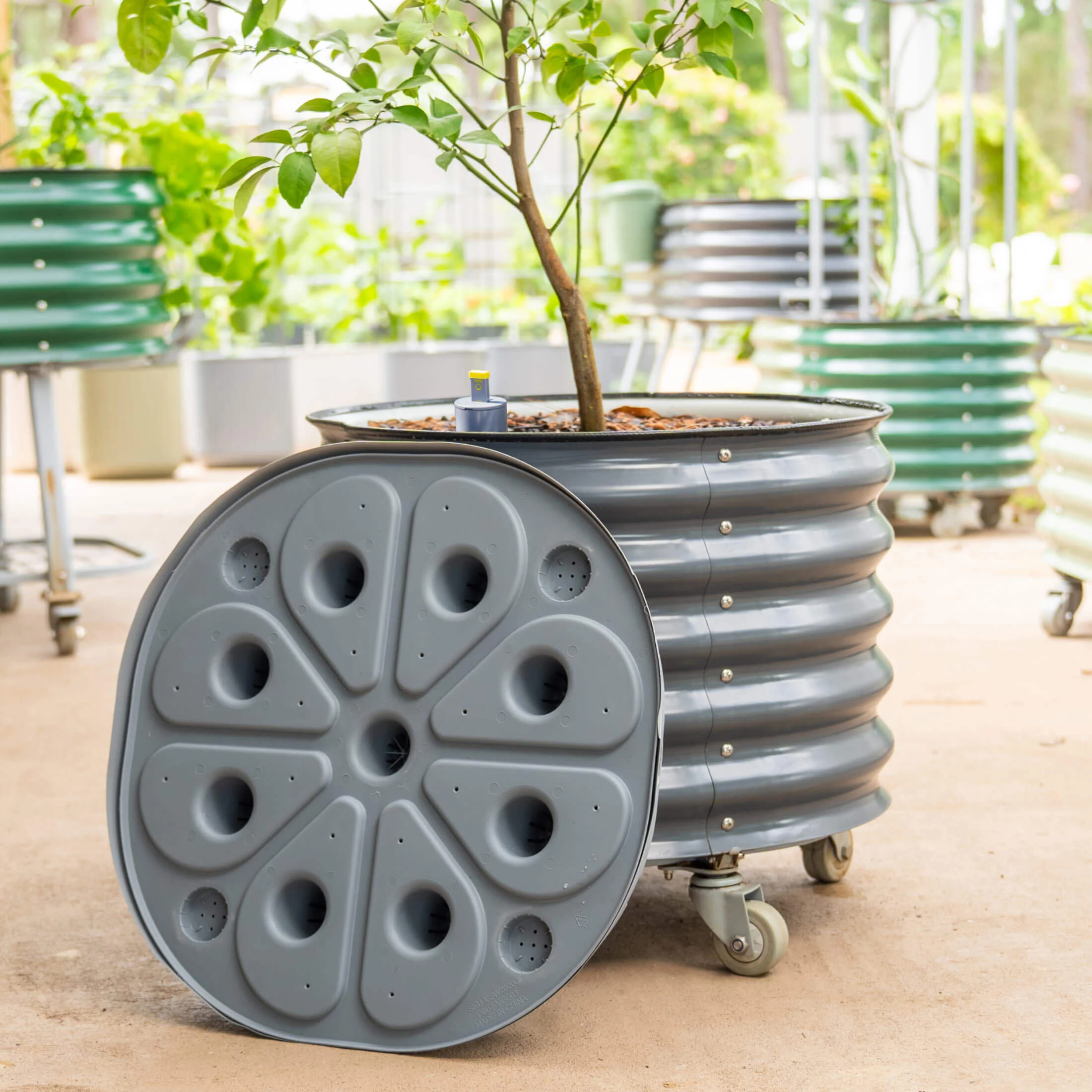 Self-Watering Rolling Citrus Tree Planter - 30 Gallon - Image 14