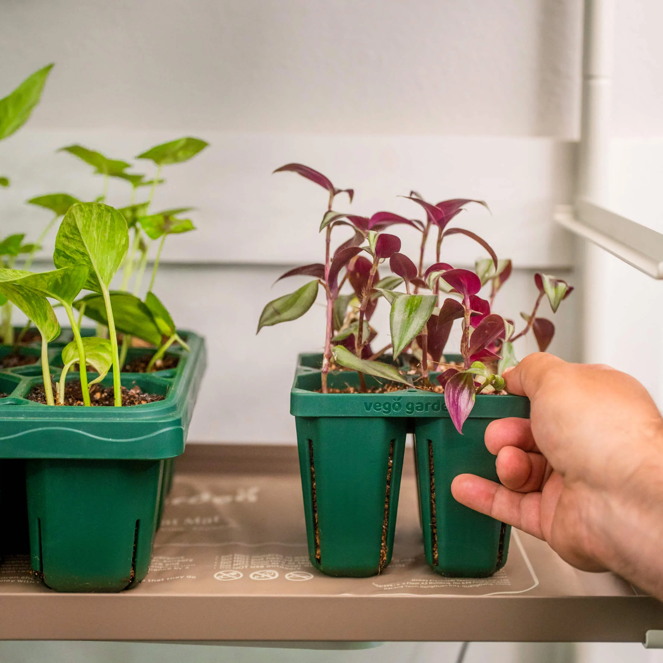 Seedling Heat Mat - Image 4