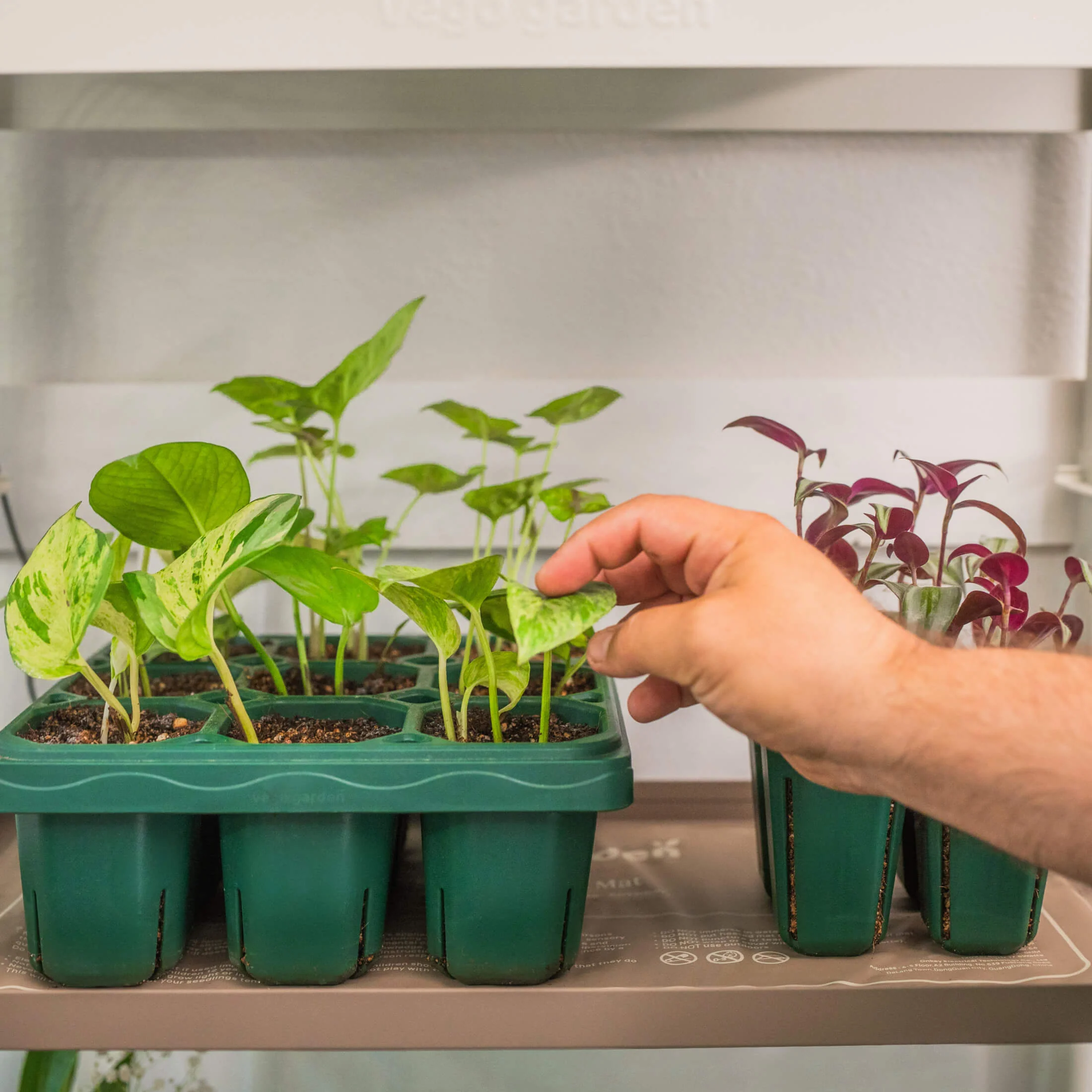Seedling Heat Mat - Image 8