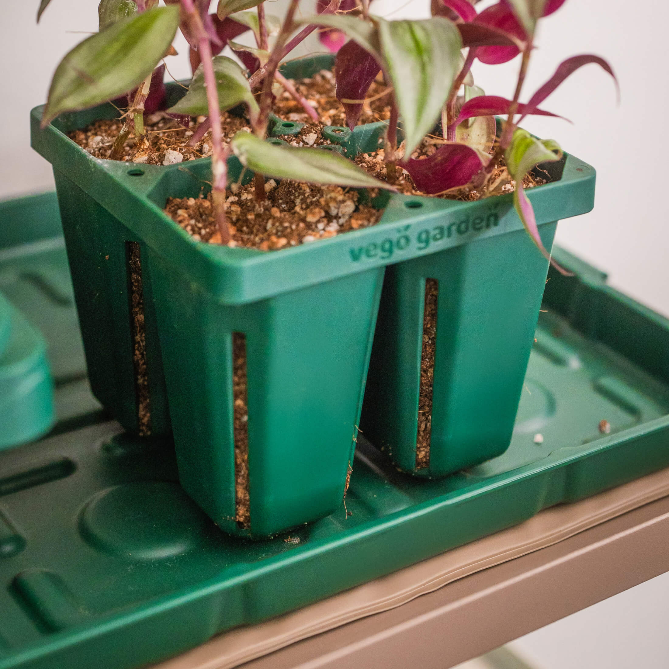 Seedling Heat Mat - Image 9