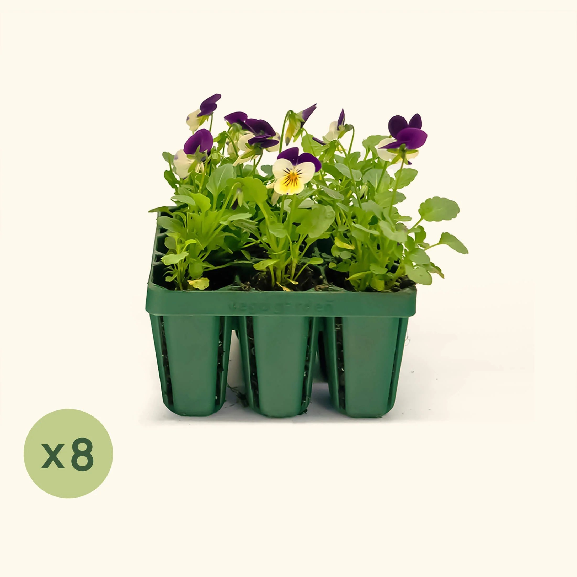Standard Seedling Tray - 5" x 5" - Image 10