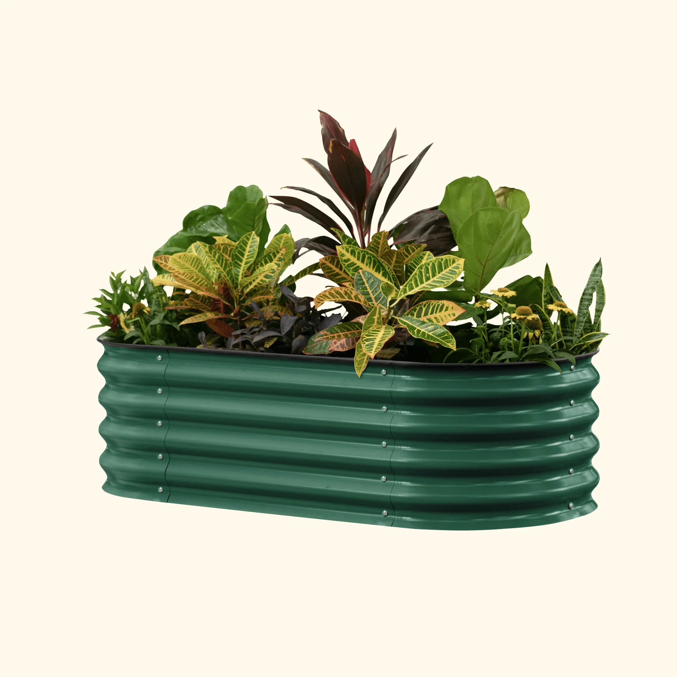 Self-Watering Garden Bed - 2' x 6' - Image 10