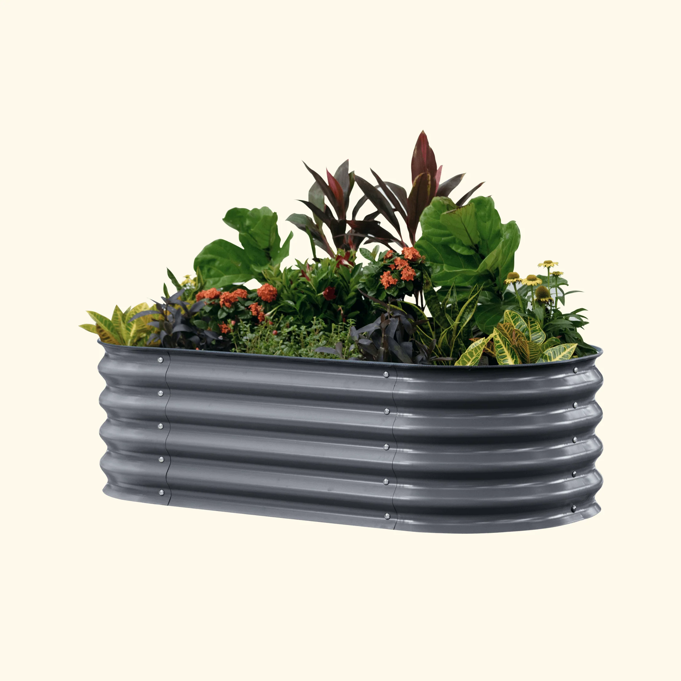 Self-Watering Garden Bed - 2' x 6' - Image 11