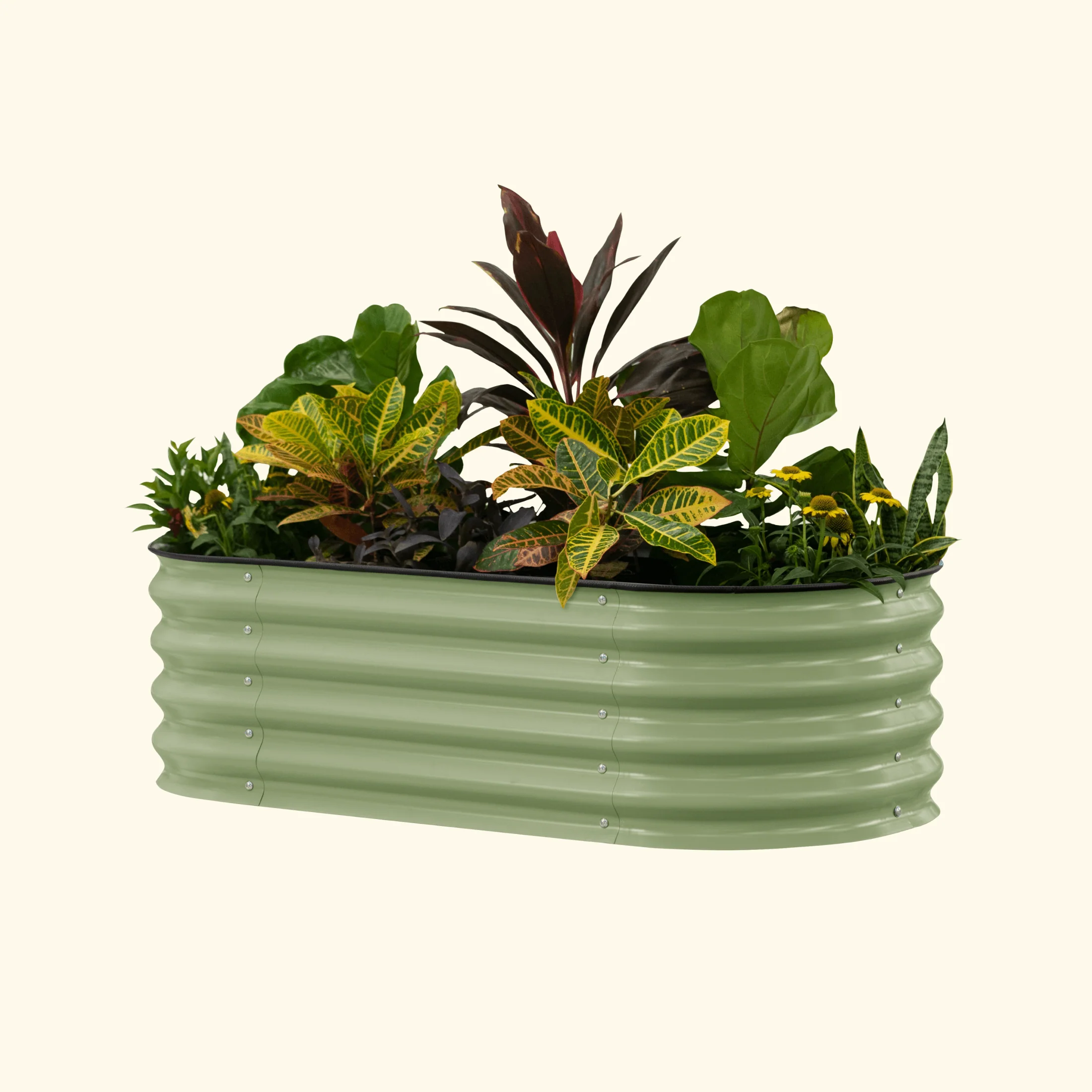Self-Watering Garden Bed - 2' x 6' - Image 12
