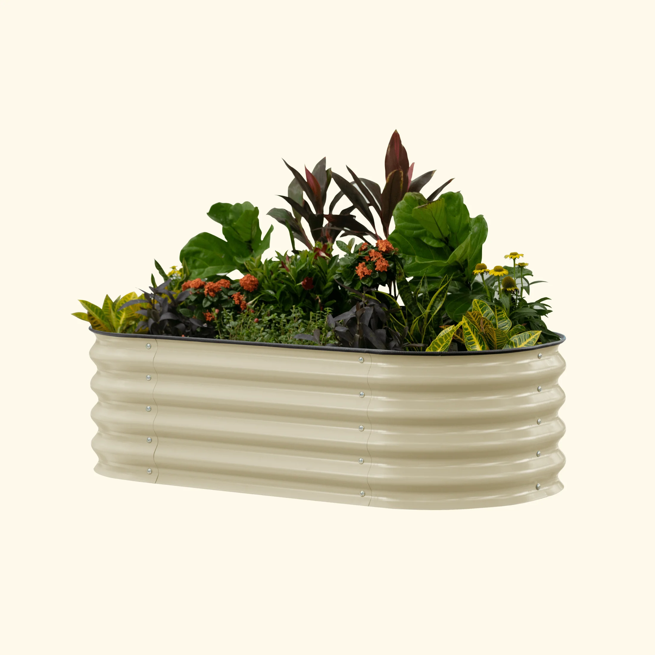 Self-Watering Garden Bed - 2' x 6' - Image 13