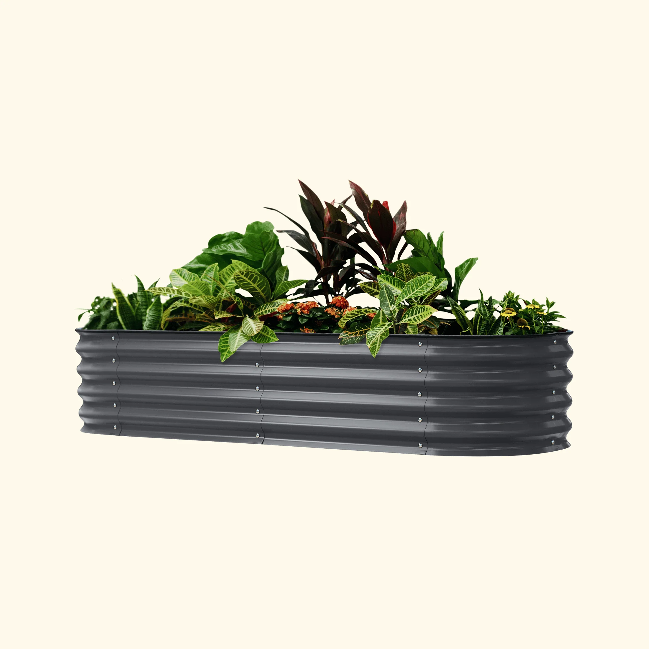 Self-Watering Garden Bed - 2' x 6' - Image 14