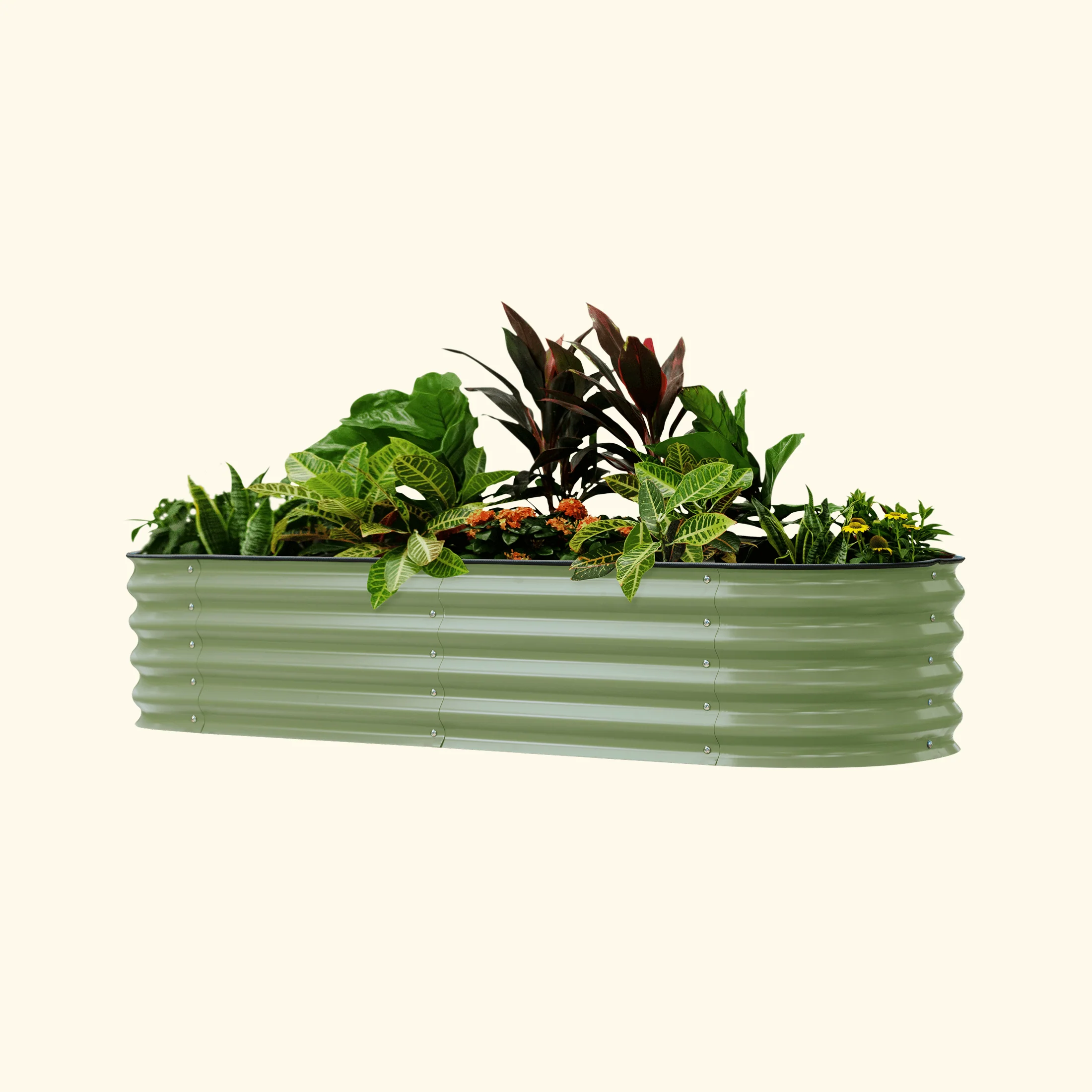 Self-Watering Garden Bed - 2' x 6' - Image 15