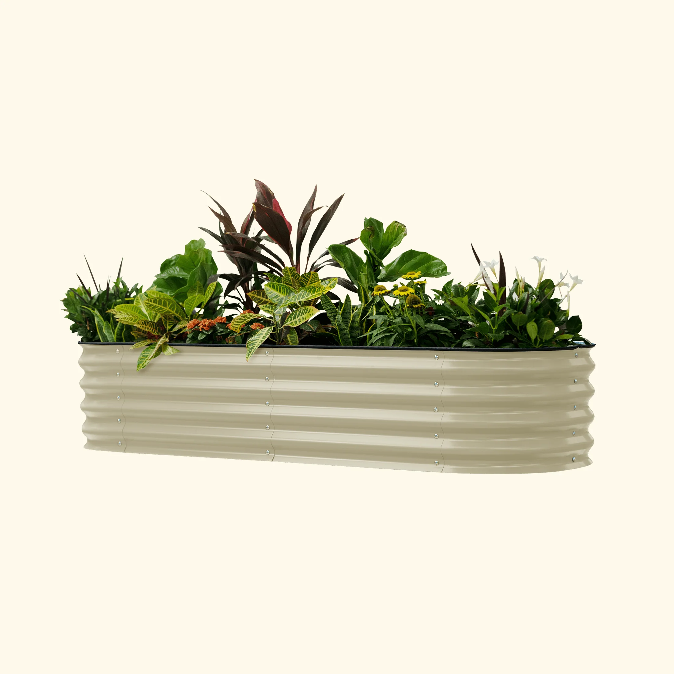 Self-Watering Garden Bed - 2' x 6' - Image 16