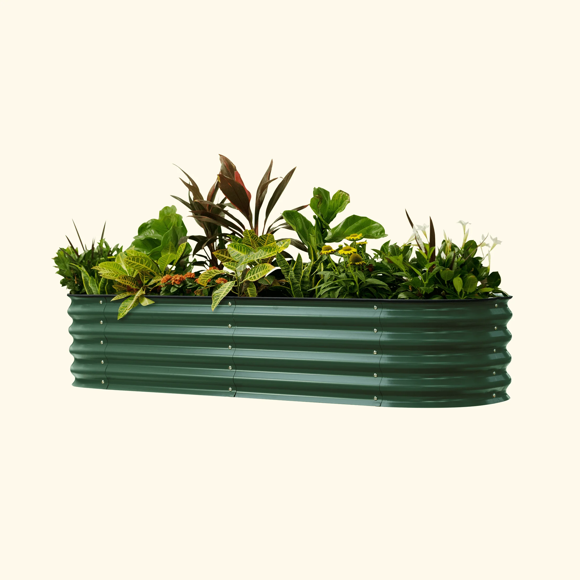 Self-Watering Garden Bed - 2' x 6' - Image 17