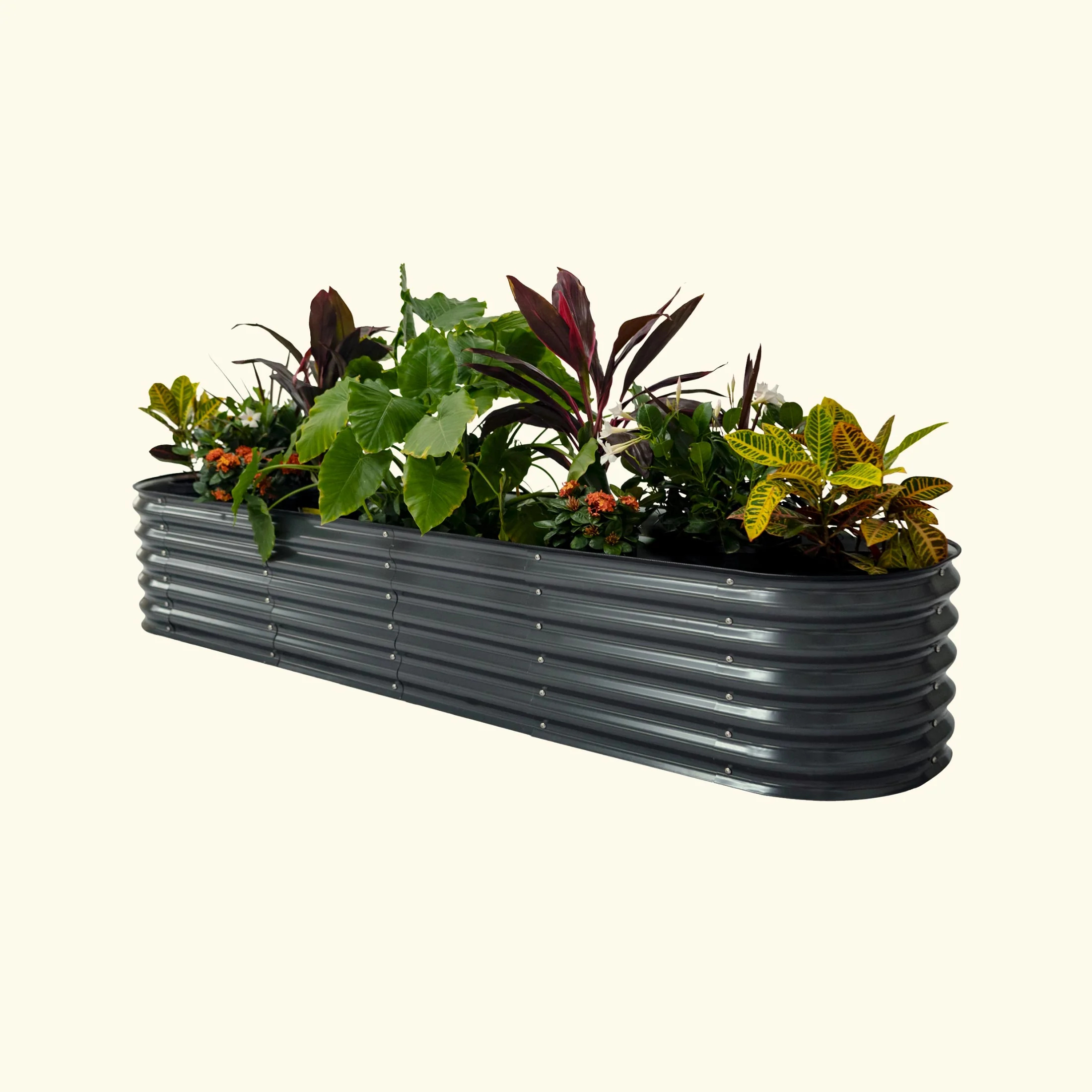 Self-Watering Garden Bed - 2' x 6' - Image 3