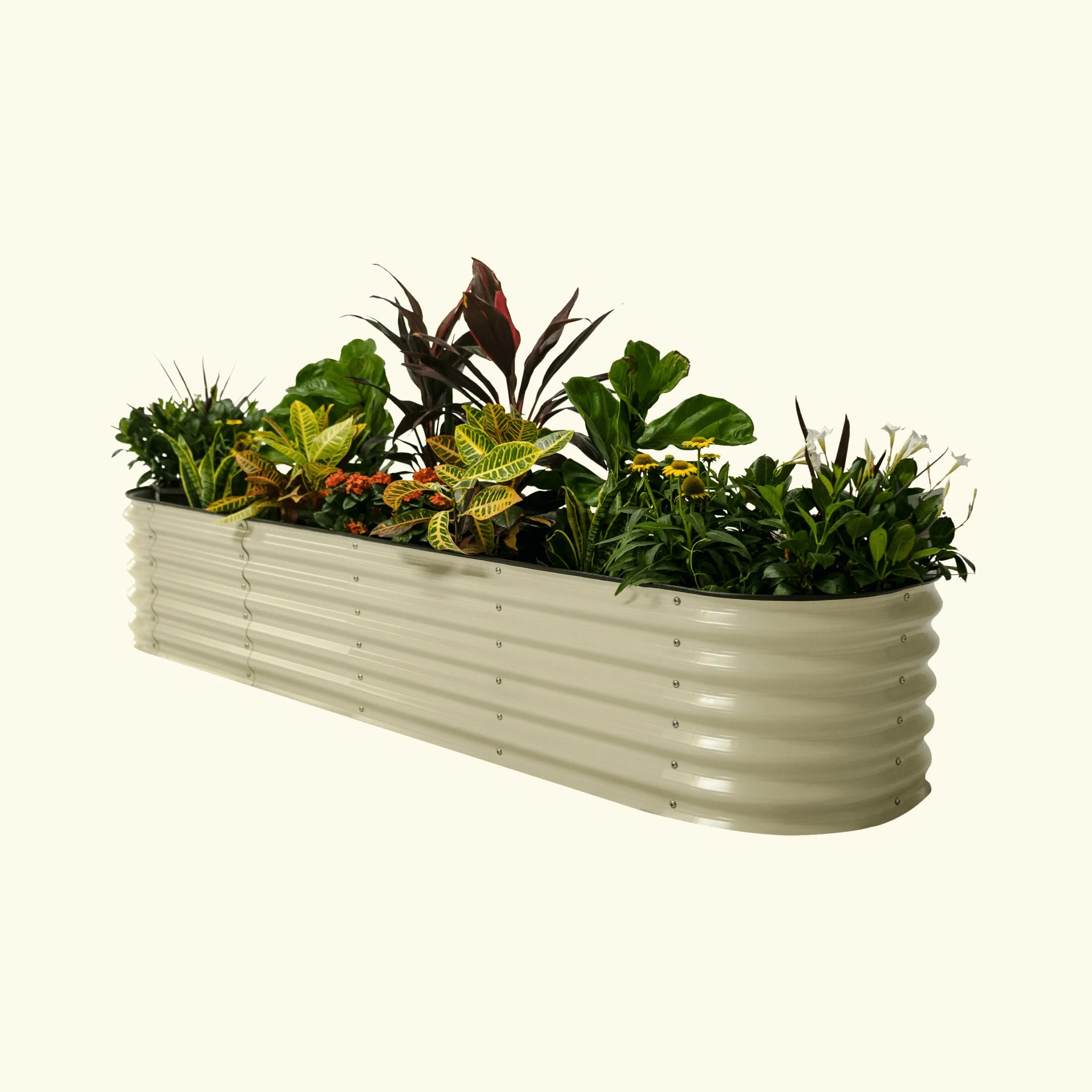 Self-Watering Garden Bed - 2' x 6' - Image 8