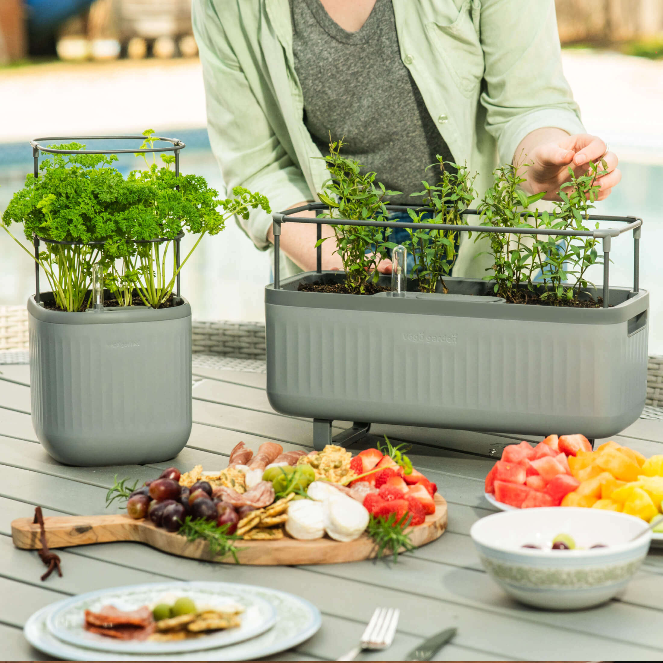 EZ Self-Watering Mini Planter Pot with Trellis - Image 13