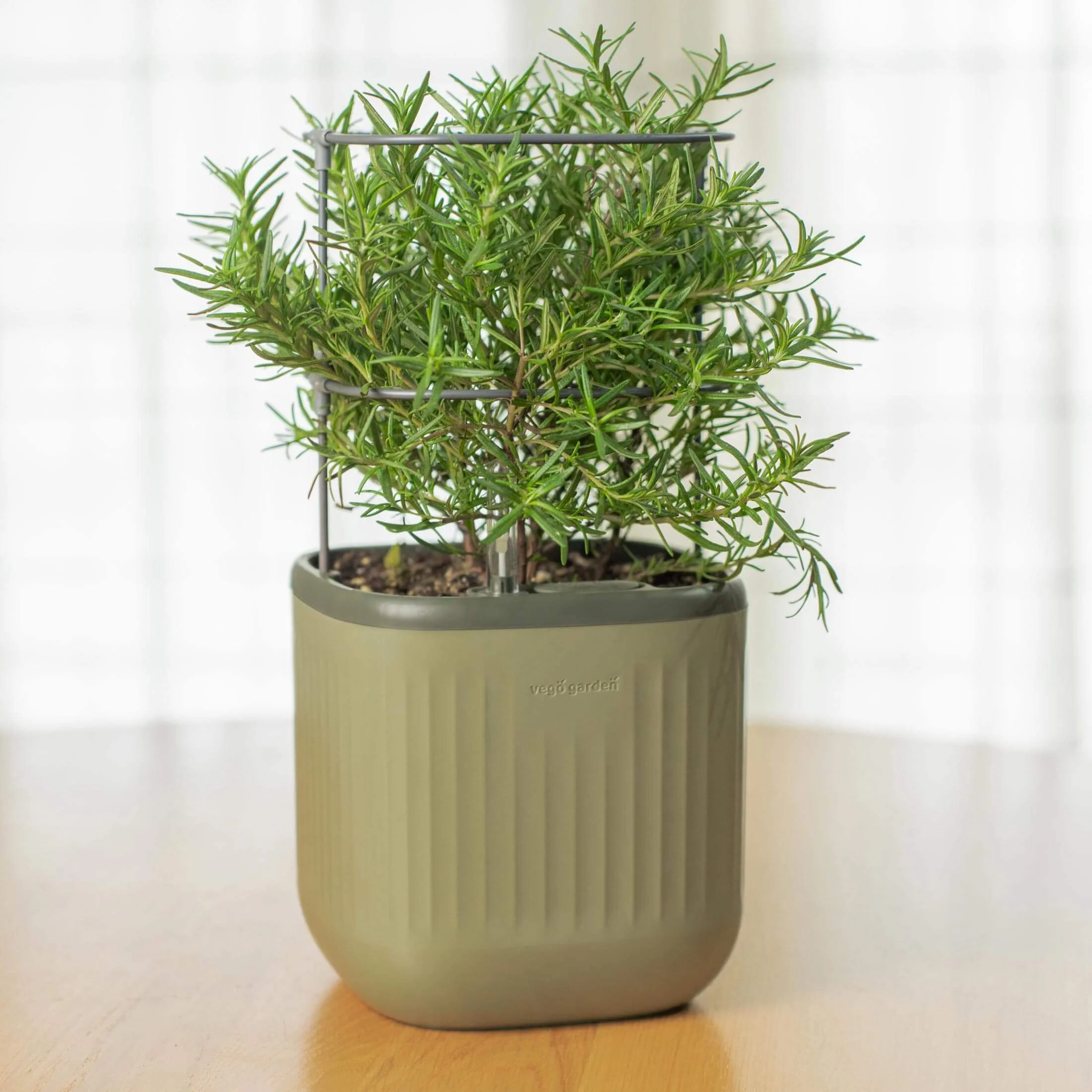EZ Self-Watering Mini Planter Pot with Trellis - Image 16