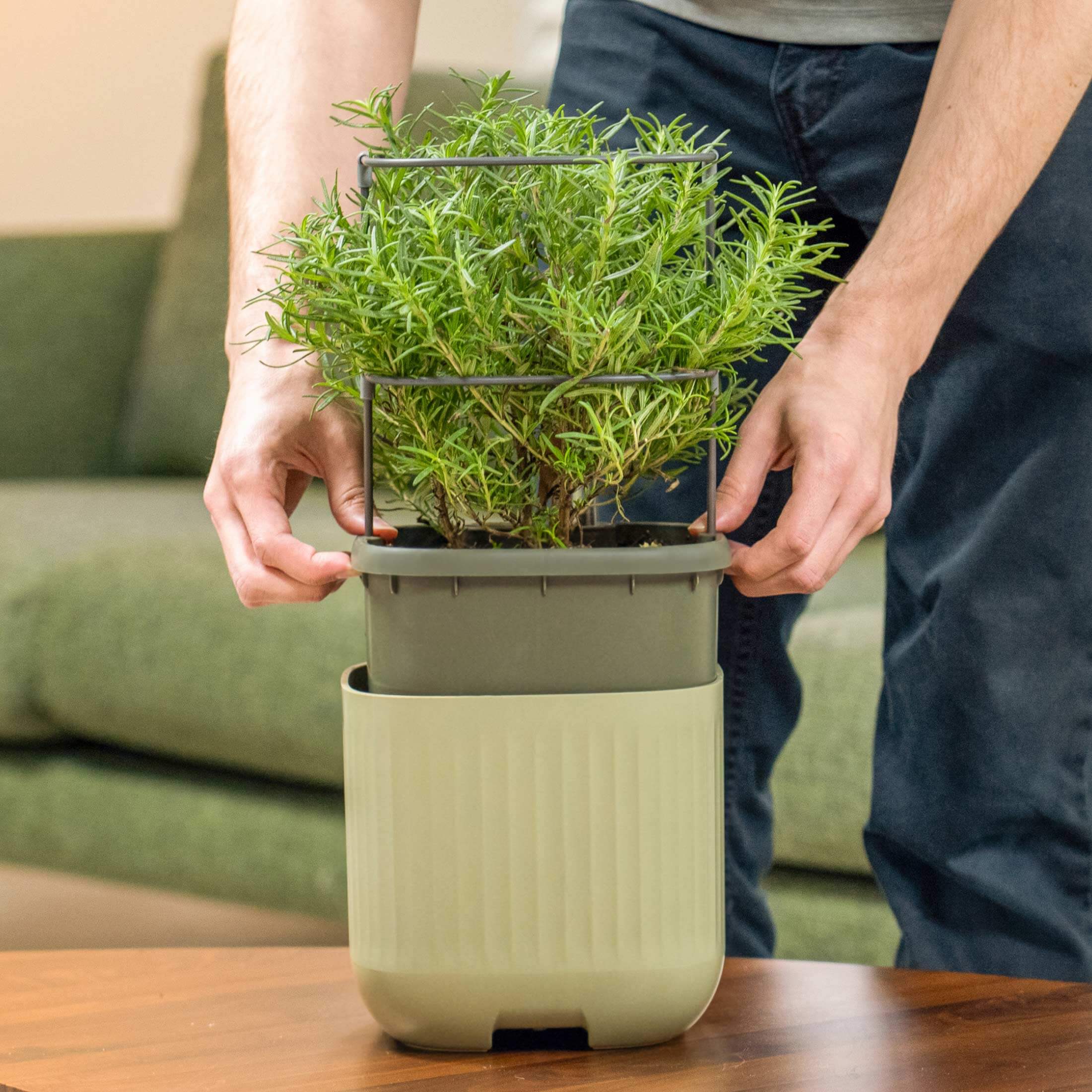 EZ Self-Watering Mini Planter Pot with Trellis - Image 10