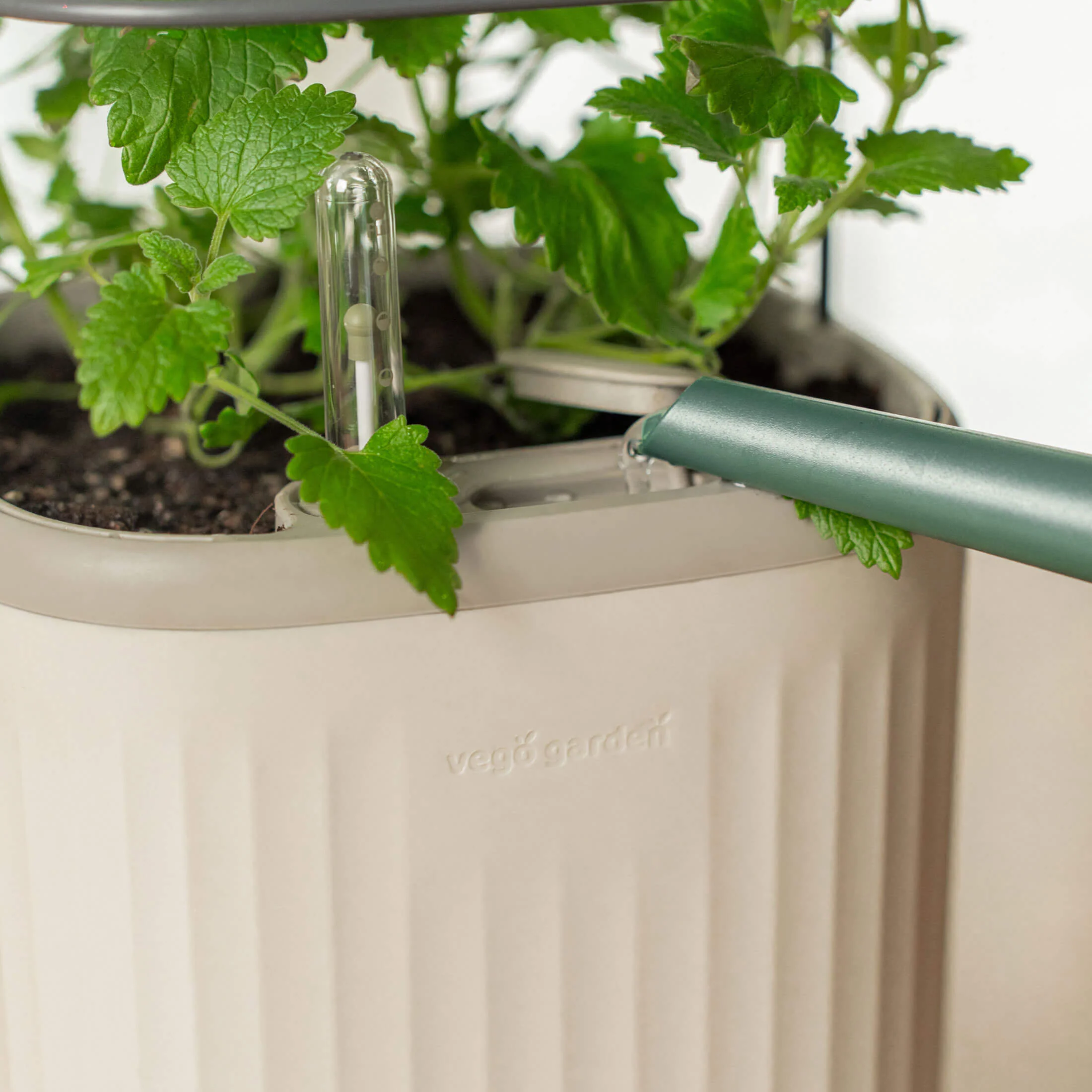 EZ Self-Watering Mini Planter Pot with Trellis - Image 19
