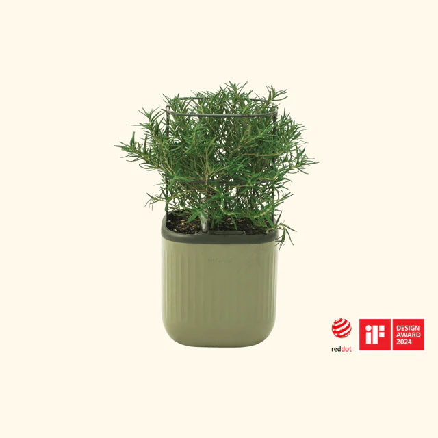 EZ Self-Watering Mini Planter Pot with Trellis - Image 8