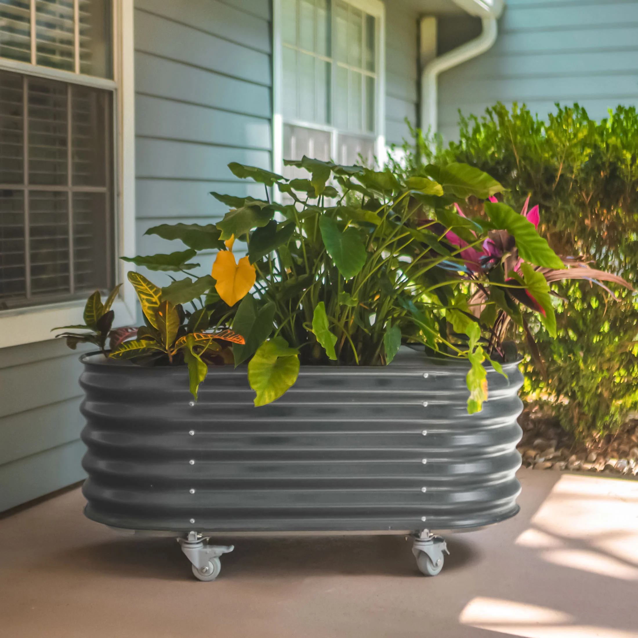 Self-Watering Rolling Garden Bed - 2' x 4' - Image 16