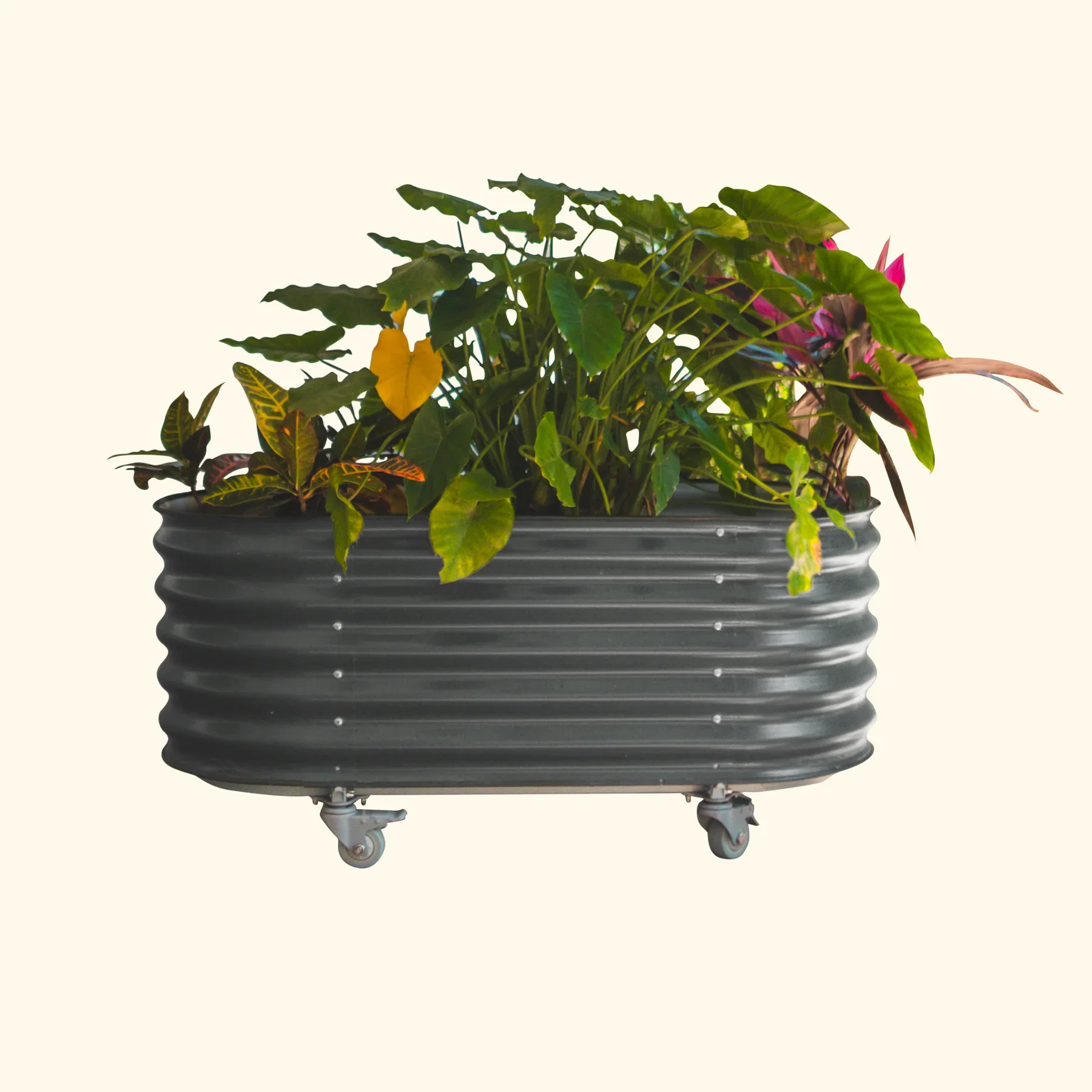 Self-Watering Rolling Garden Bed - 2' x 4' - Image 4