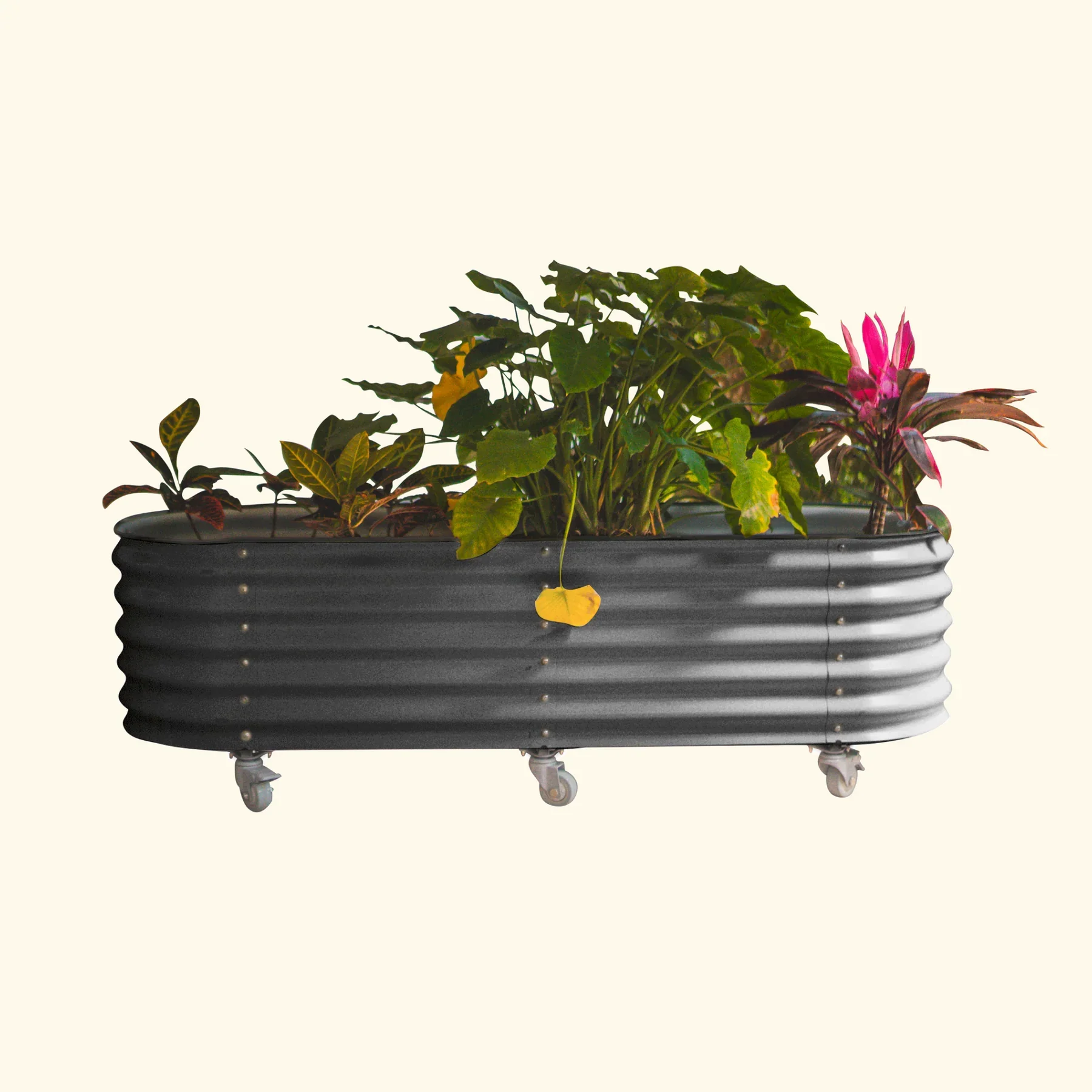 Self-Watering Rolling Garden Bed - 2' x 4' - Image 6