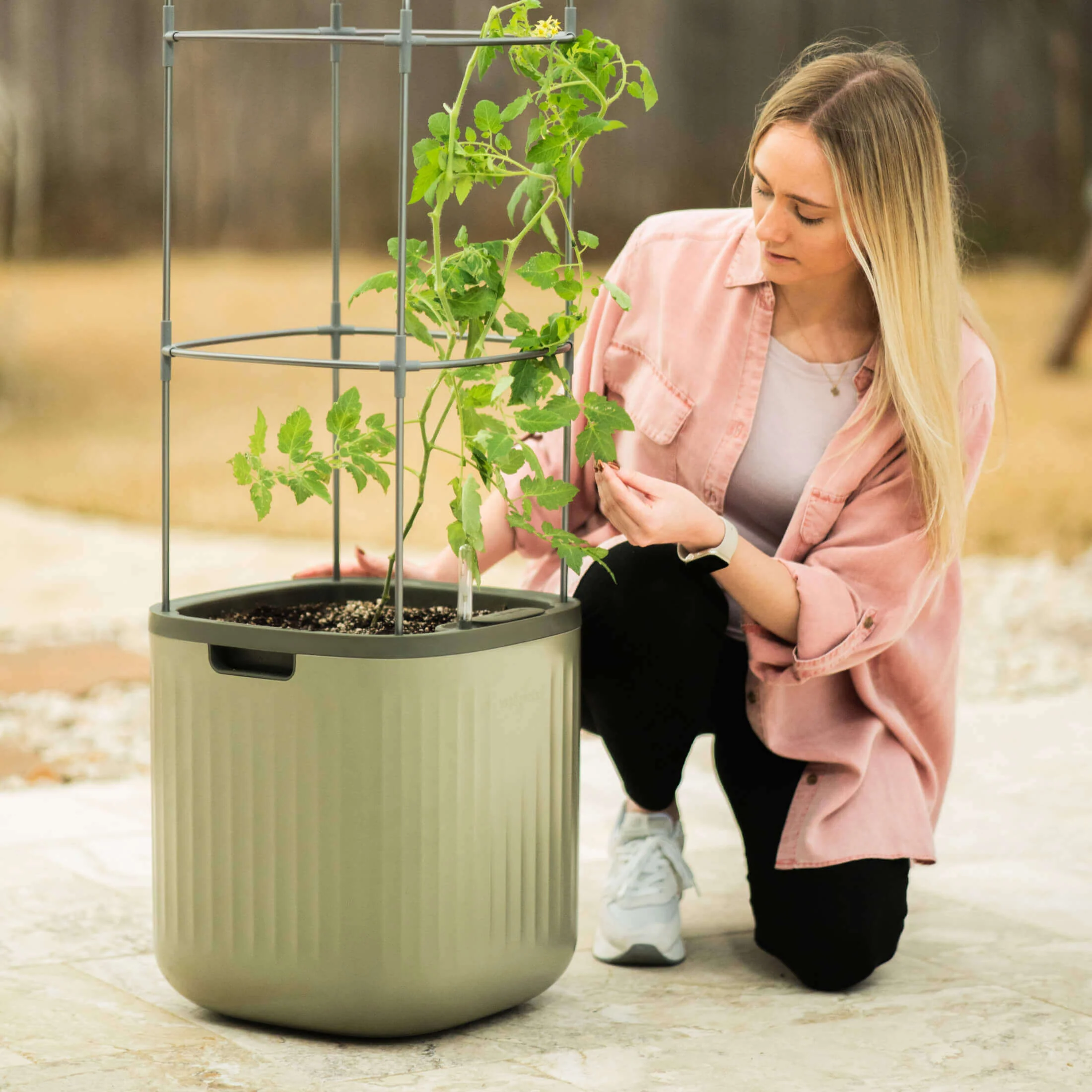 EZ Self-Watering Tomato Planter with Trellis - Image 16