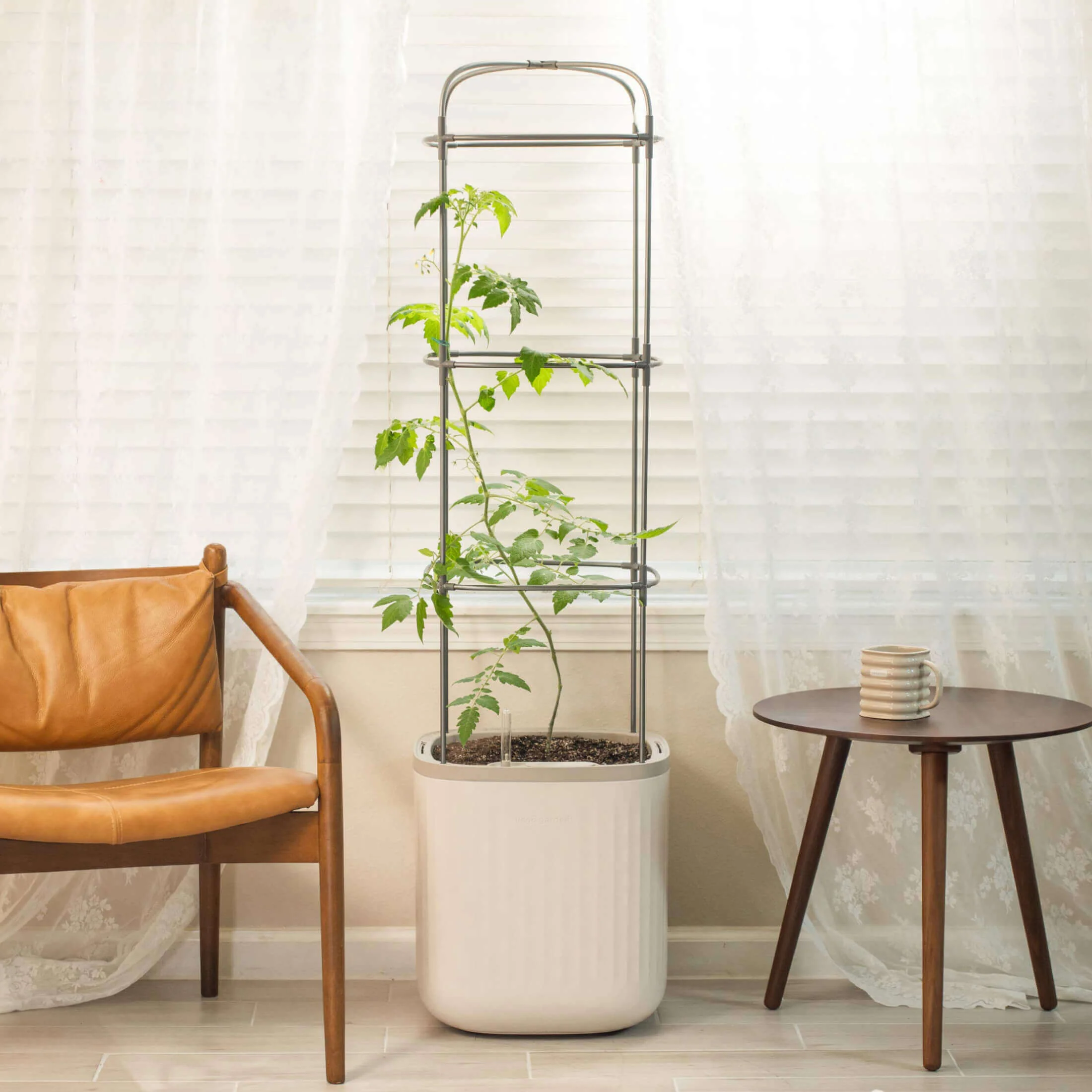 EZ Self-Watering Tomato Planter with Trellis - Image 17