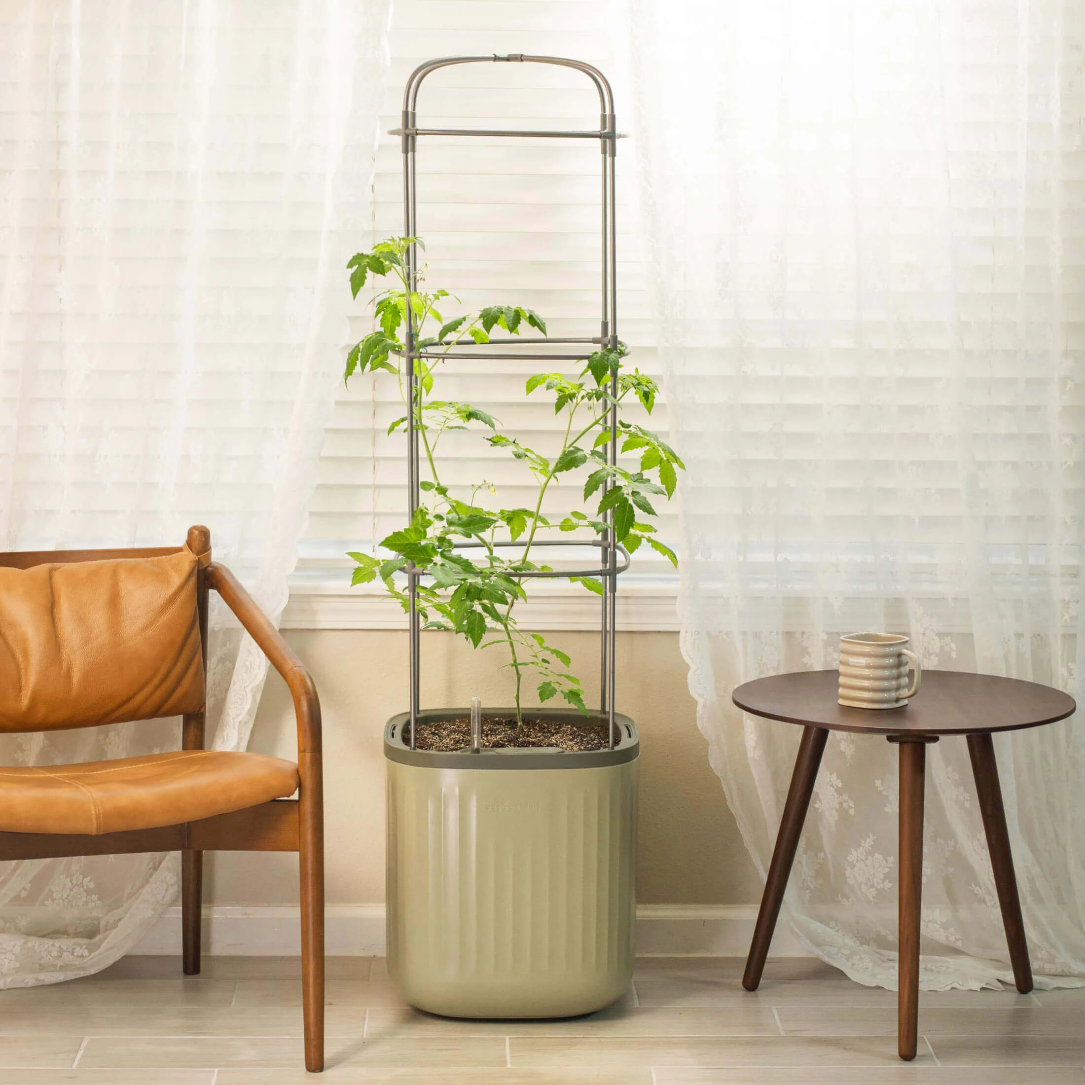 EZ Self-Watering Tomato Planter with Trellis - Image 18