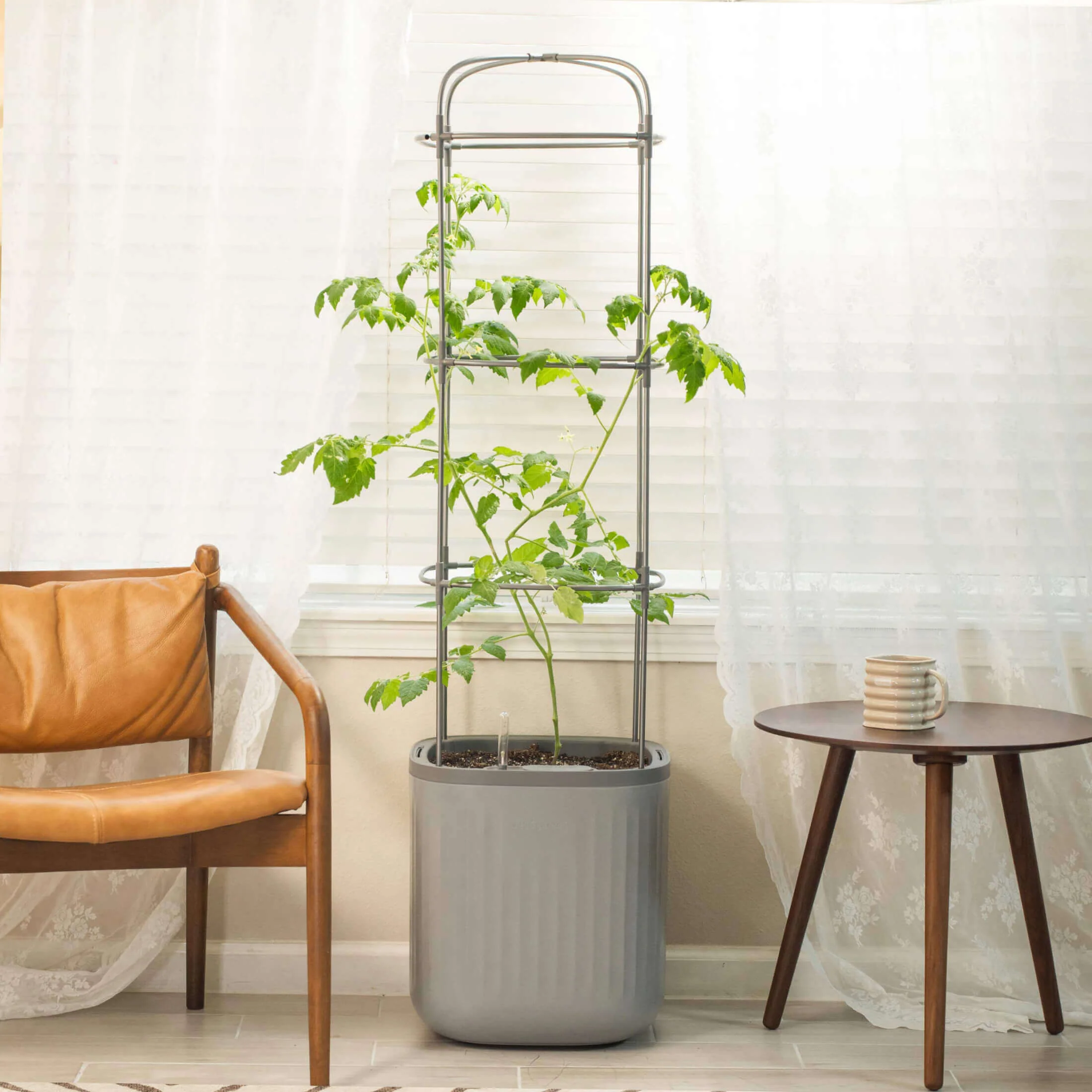 EZ Self-Watering Tomato Planter with Trellis - Image 19