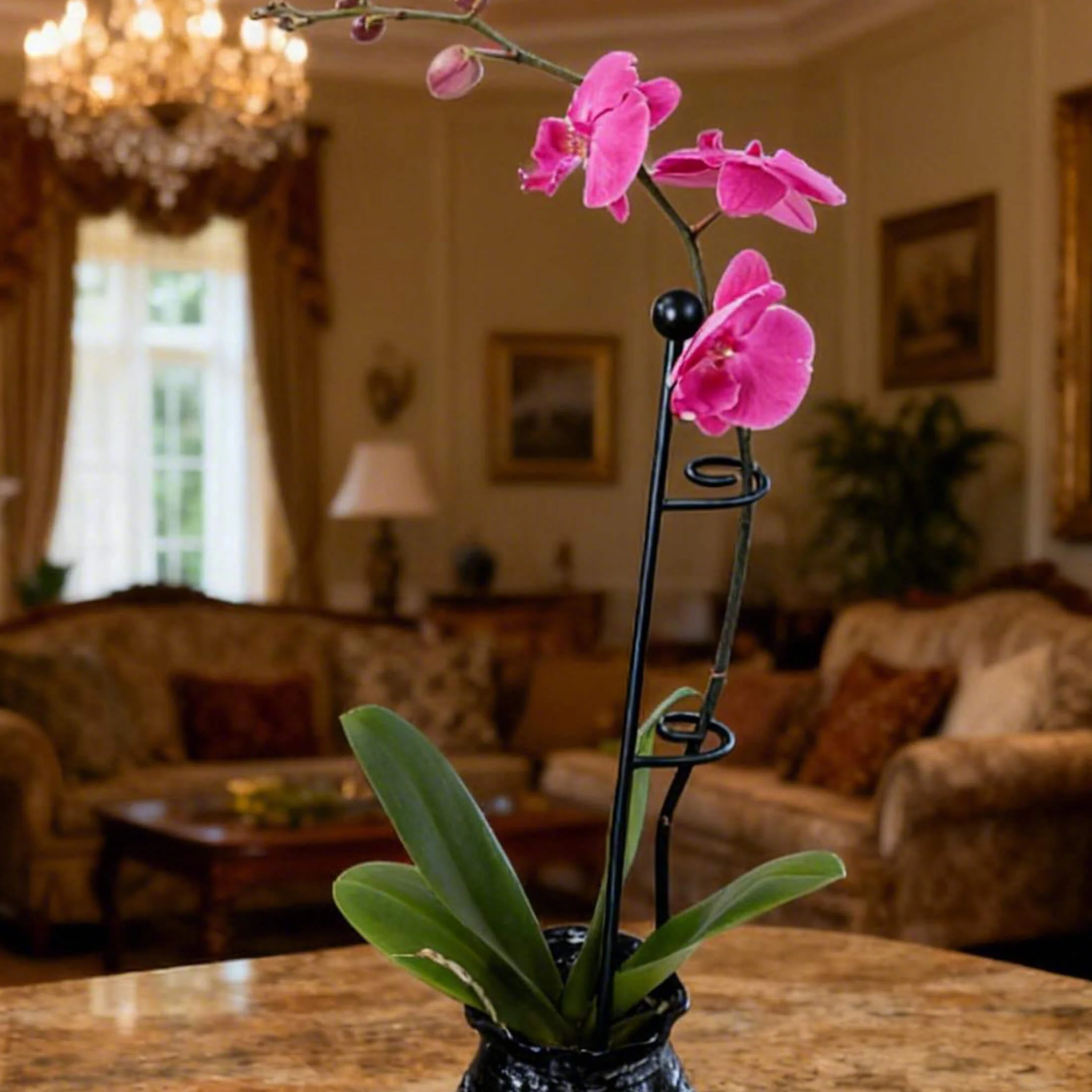 Single Stem Plant Support Loop - 3 Pack - Image 5