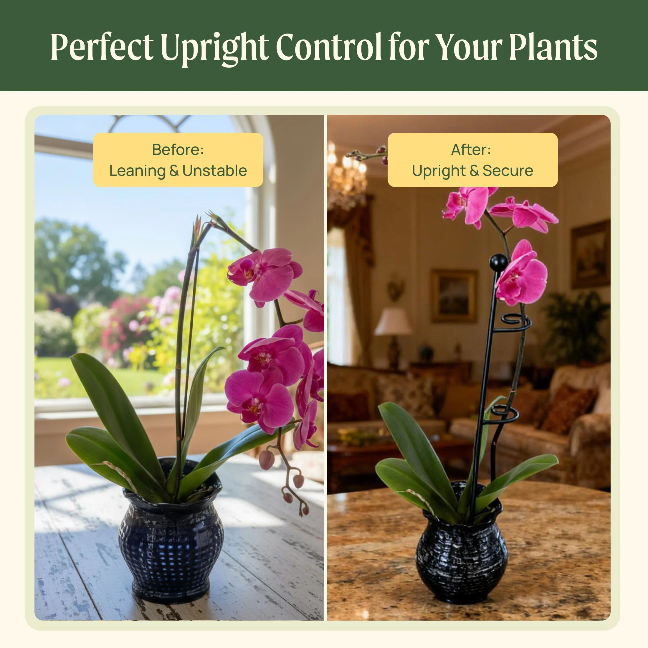 Single Stem Plant Support Loop - 3 Pack - Image 8