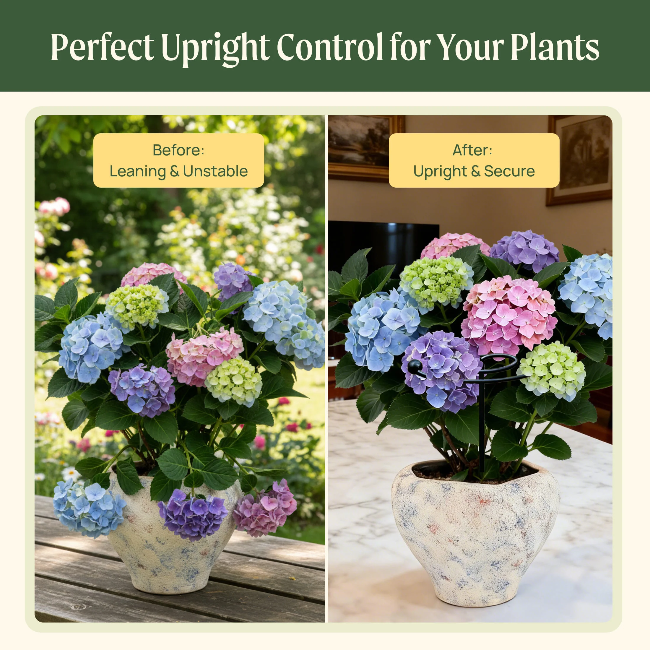 Single Stem Plant Support Spiral  - 3 Pack - Image 7