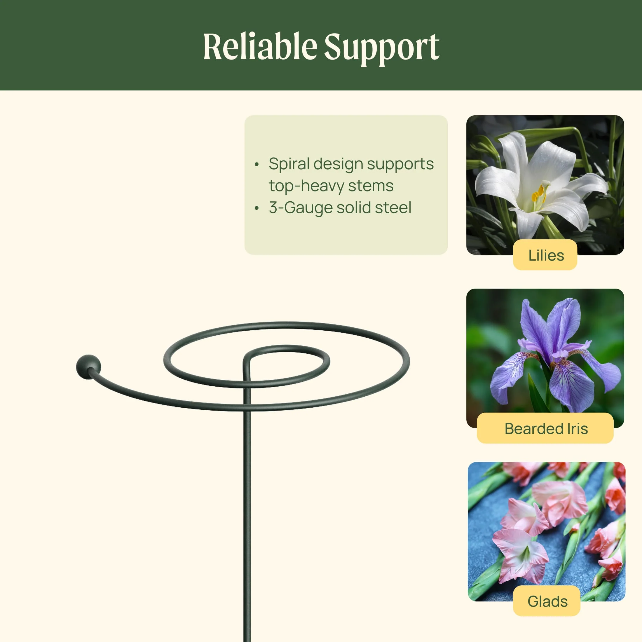 Single Stem Plant Support Spiral  - 3 Pack - Image 8