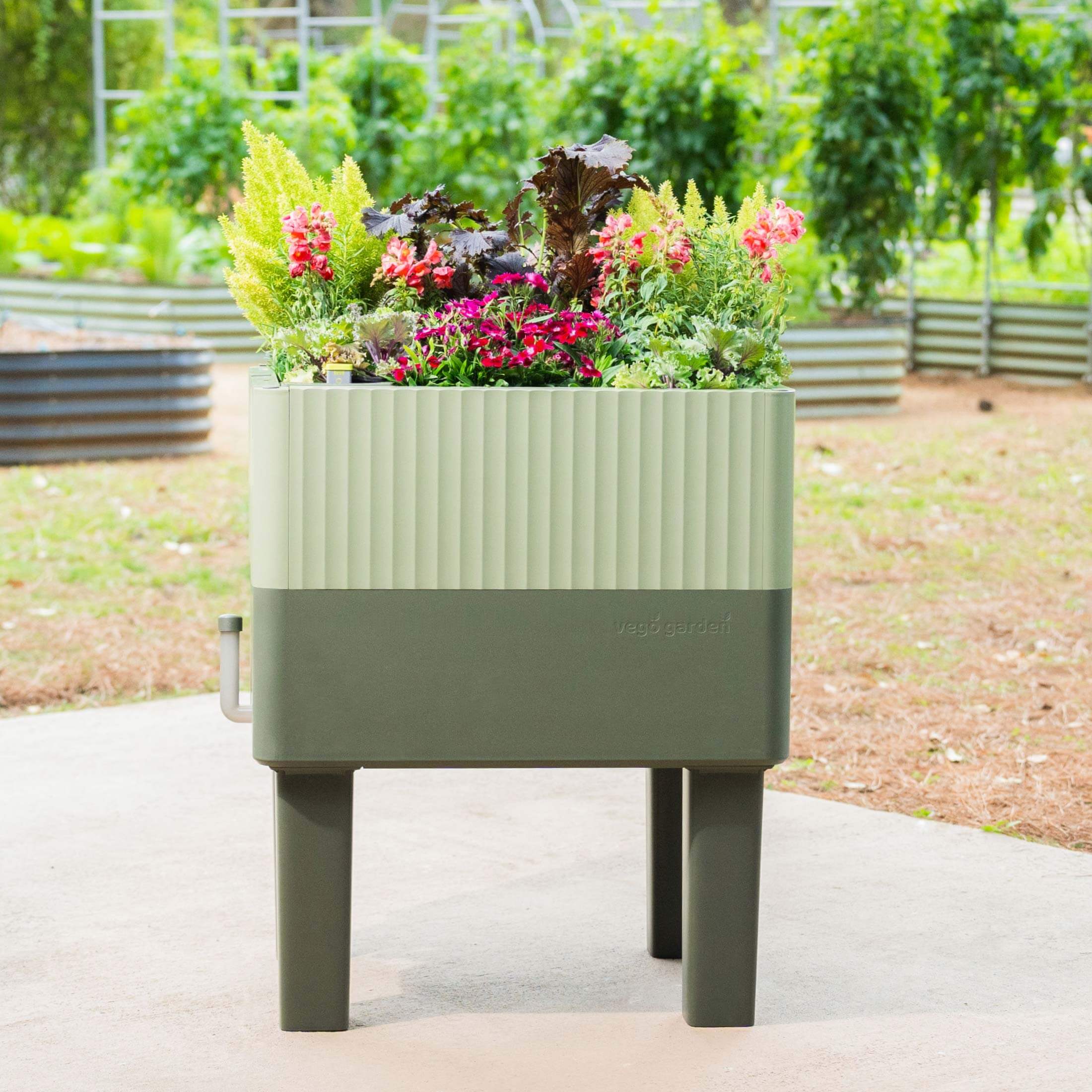 EZCube Self-Watering Planter 21" x 24" Elevated - Sage Green - Image 14