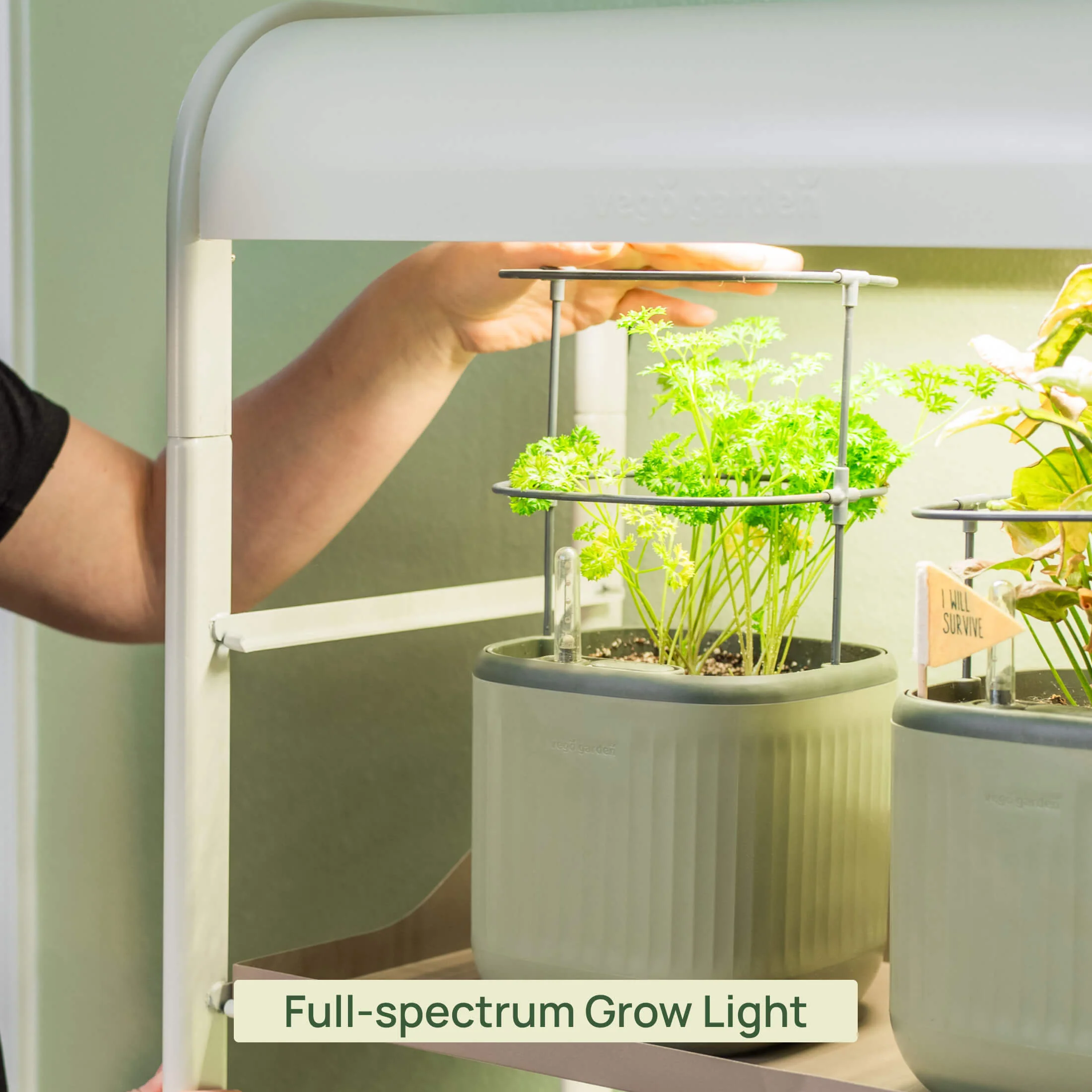 2 Tier Grow Light Garden - Image 7