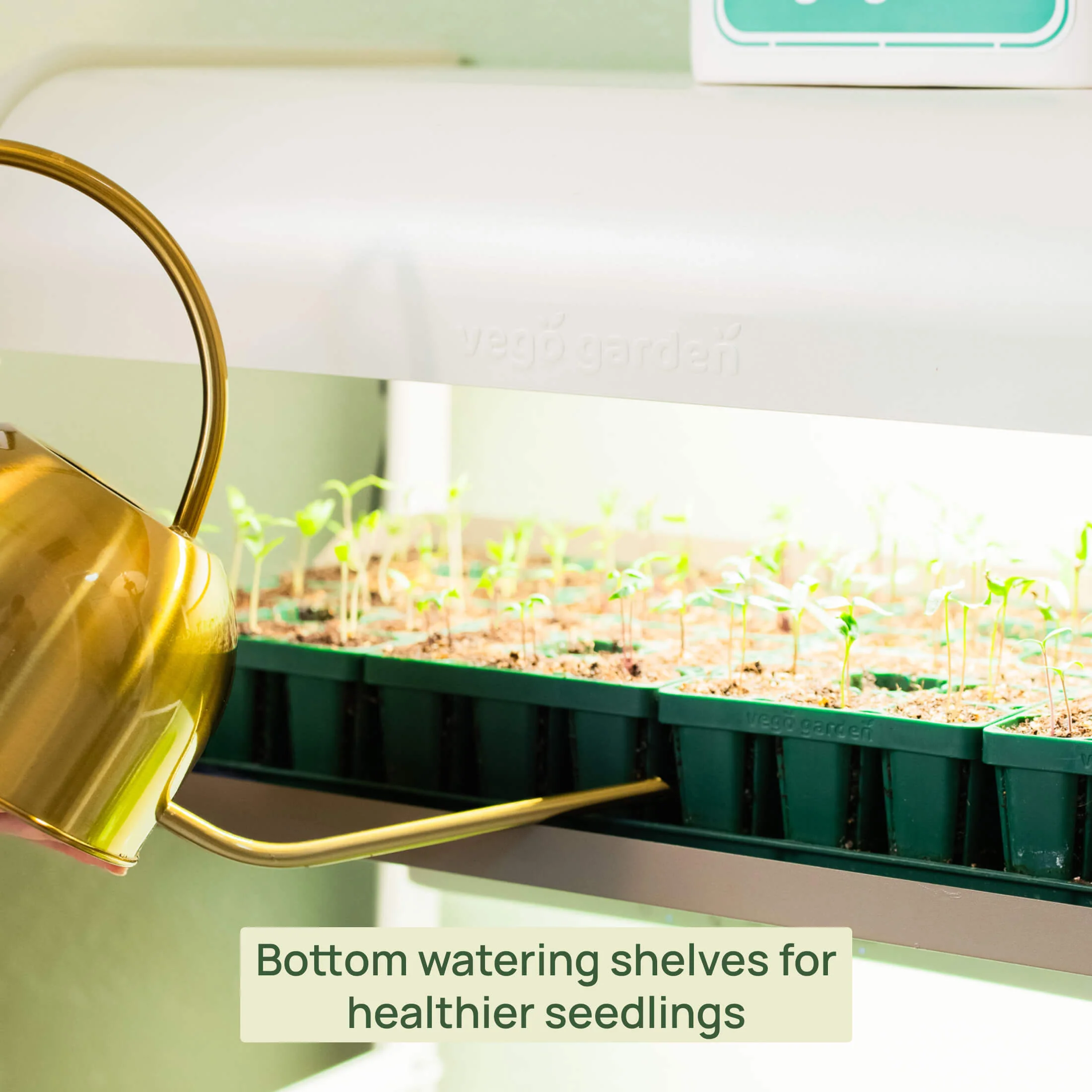 2 Tier Grow Light Garden - Image 8