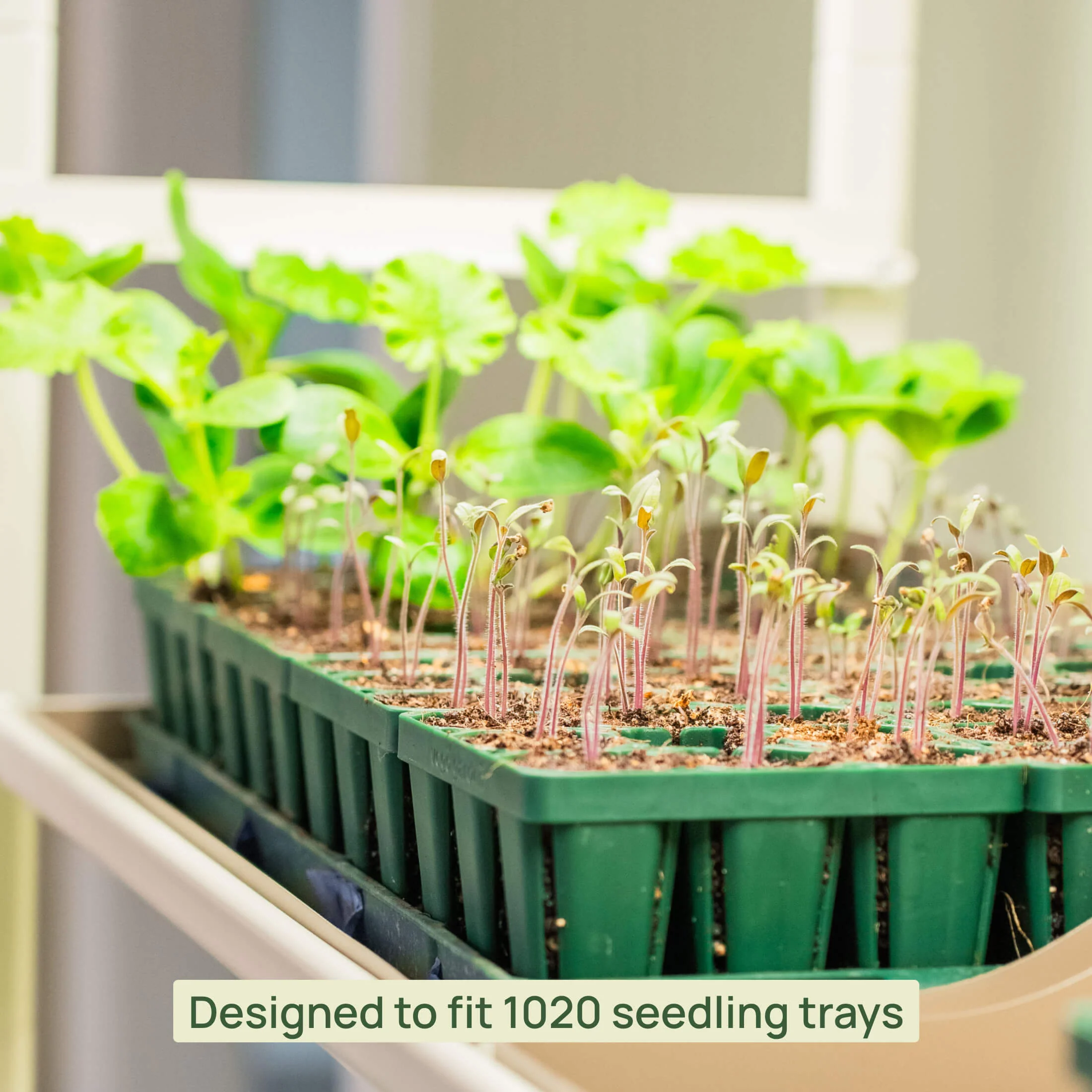 2 Tier Grow Light Garden - Image 9