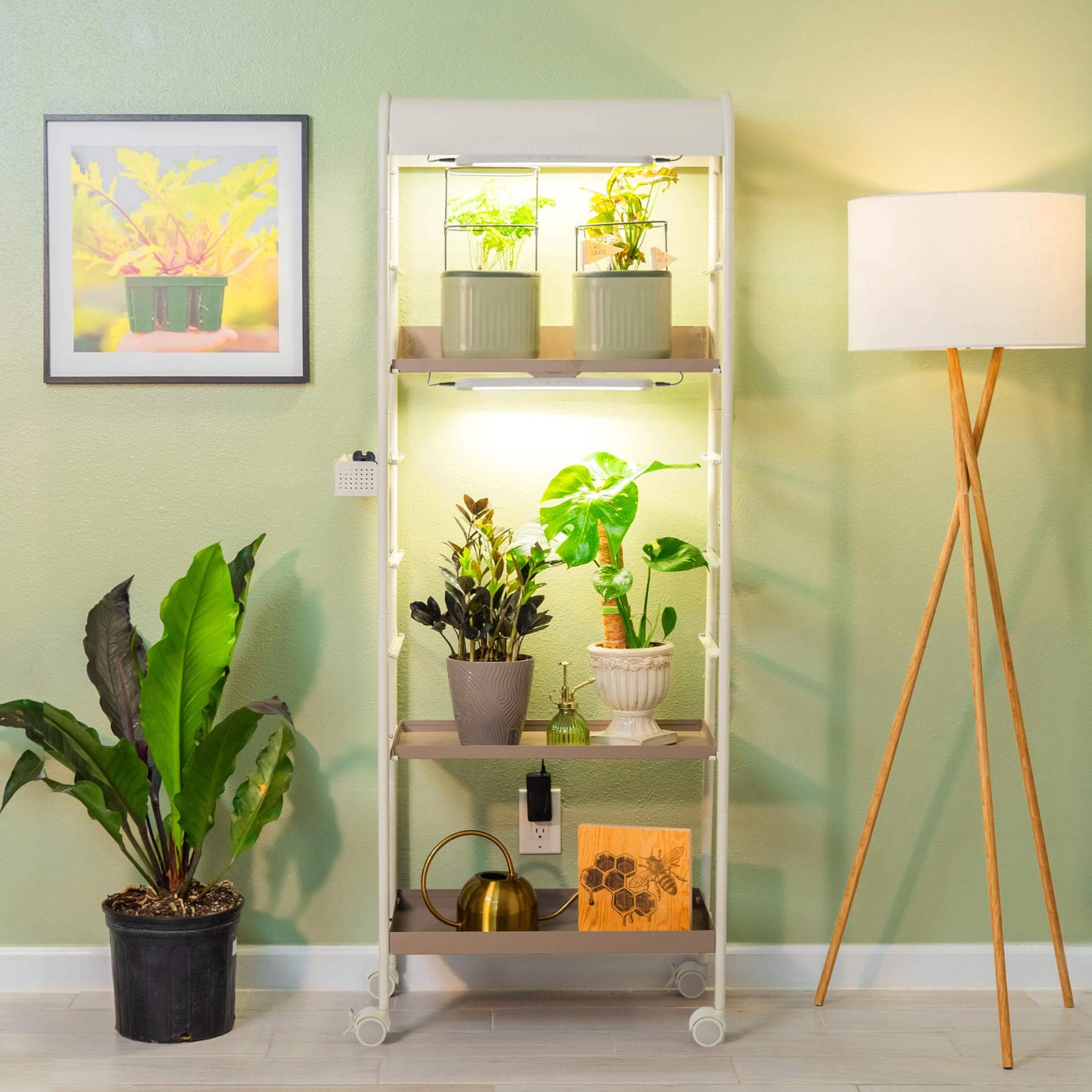 4 Tier Grow Light Garden - Image 10