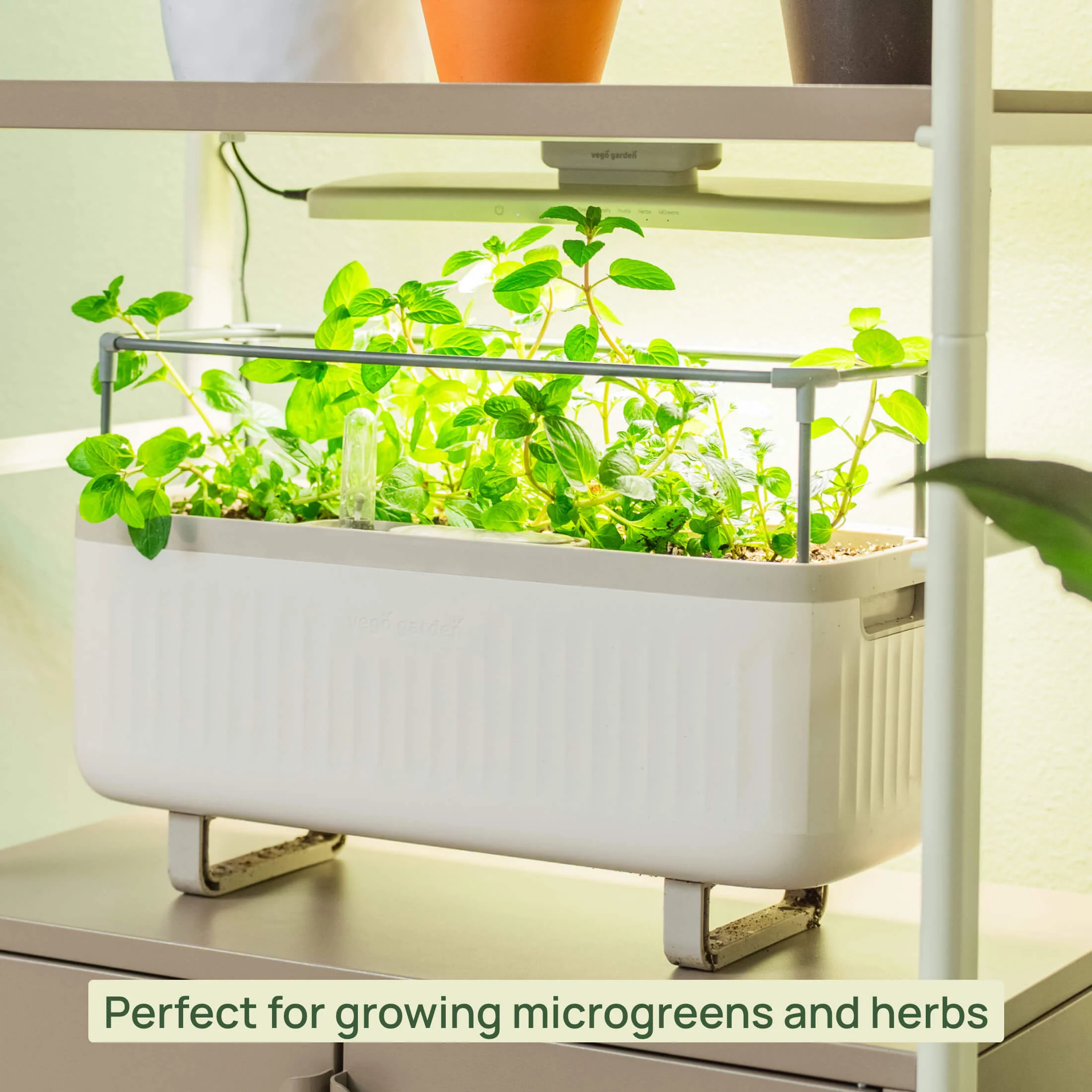4 Tier Grow Light Garden with Storage - Image 11