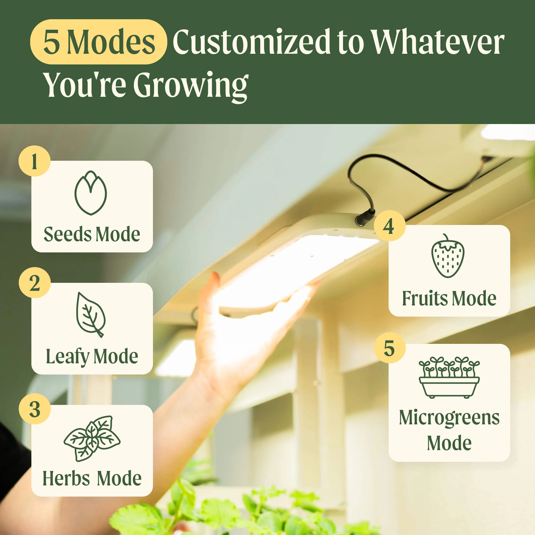 4 Tier Grow Light Garden with Storage - Image 5