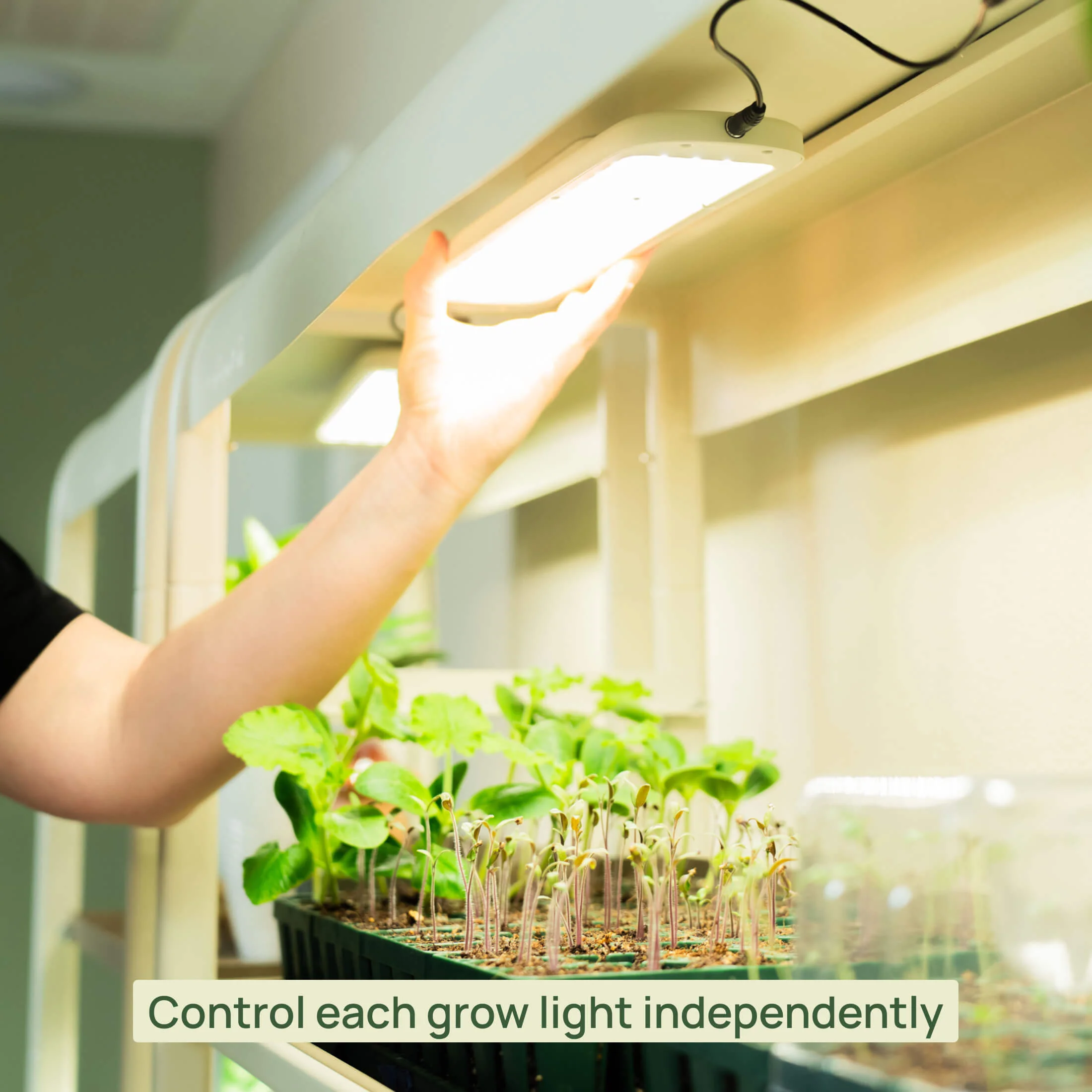 4 Tier Grow Light Garden Pro - Image 11