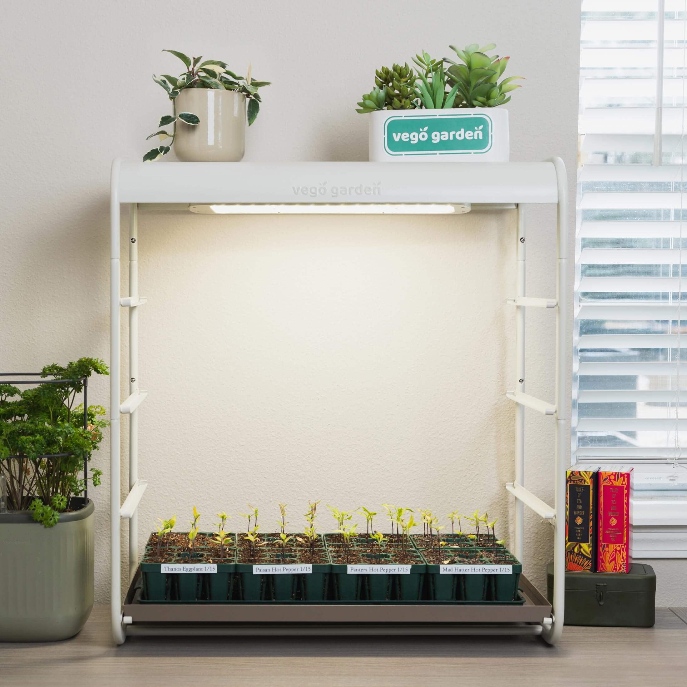1 Tier Tabletop Grow Light Garden - Image 10
