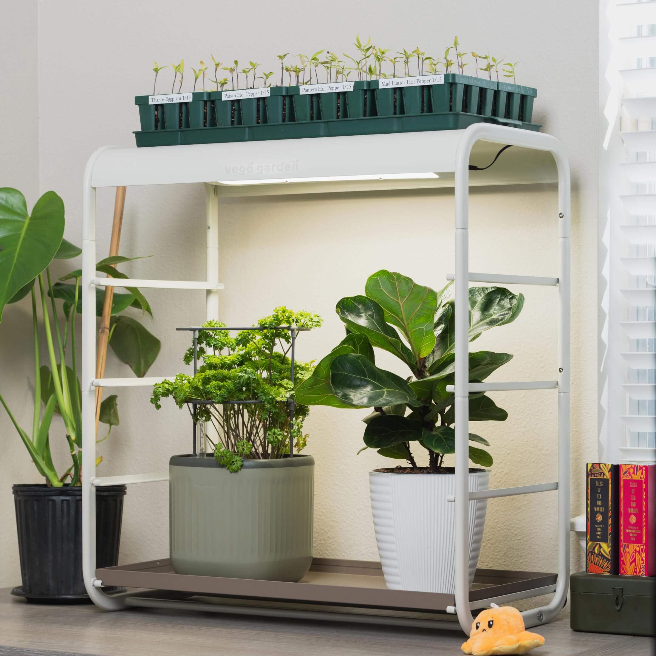 1 Tier Tabletop Grow Light Garden - Image 11