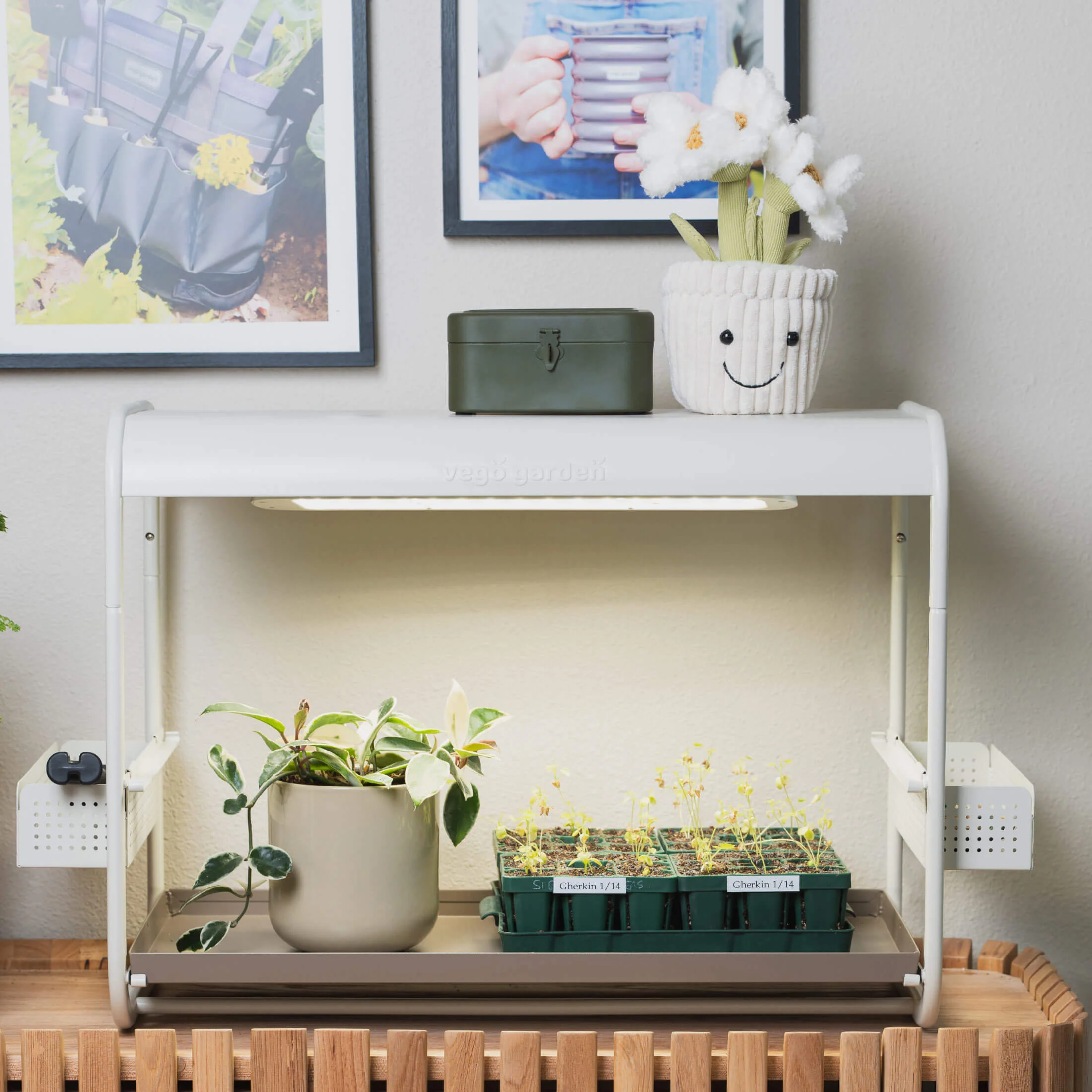 1 Tier Tabletop Grow Light Garden - Image 12