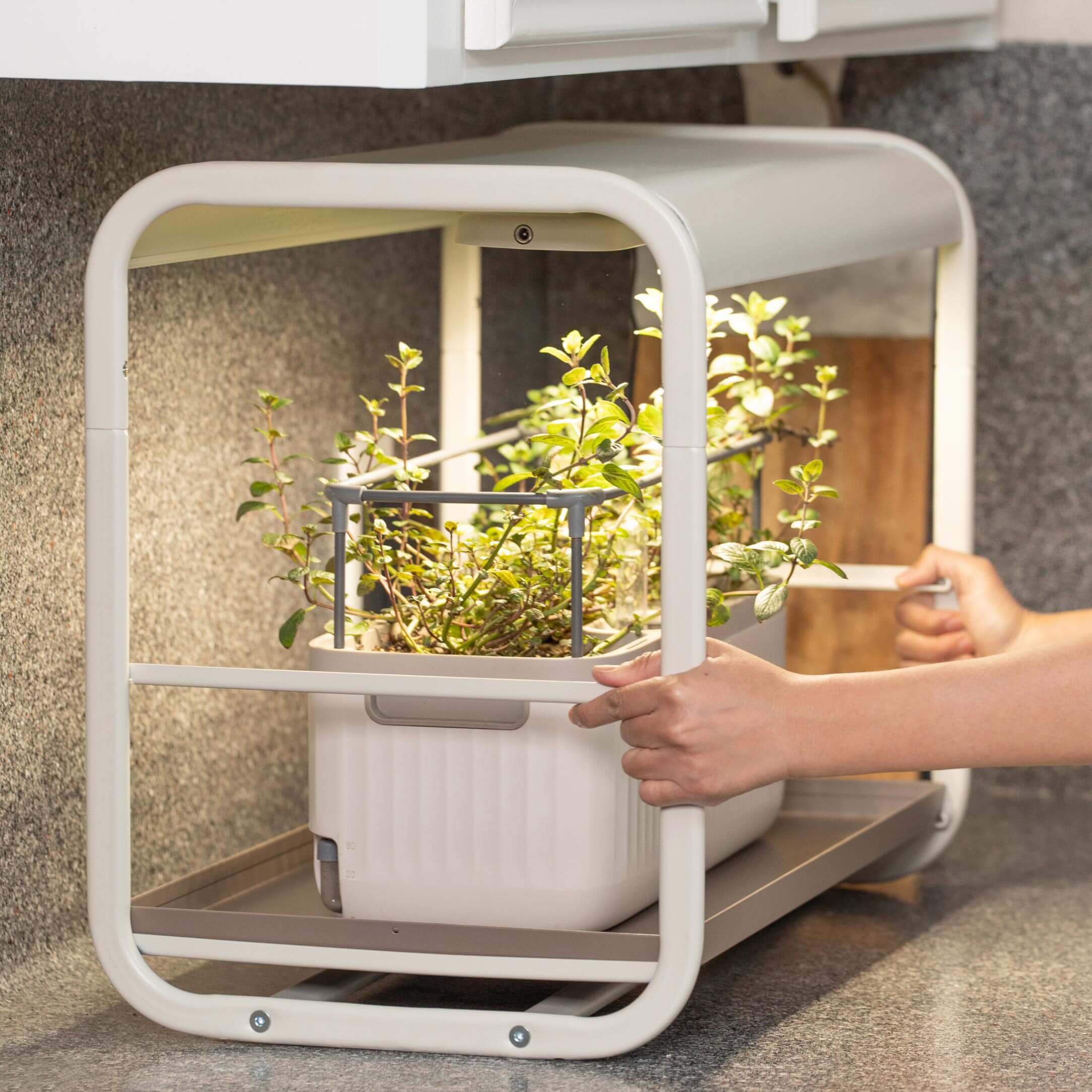 1 Tier Tabletop Grow Light Garden - Image 16