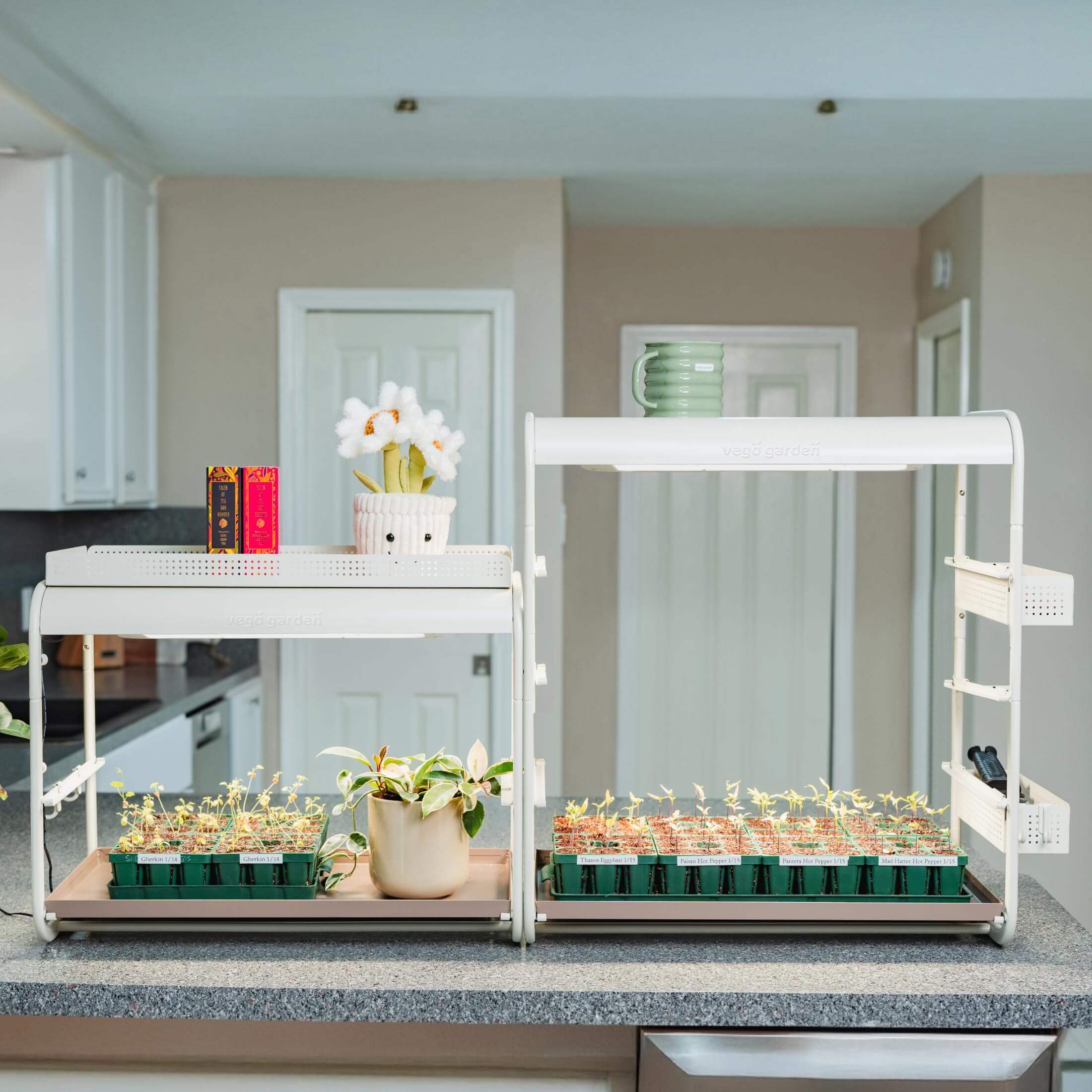 1 Tier Tabletop Grow Light Garden - Image 17