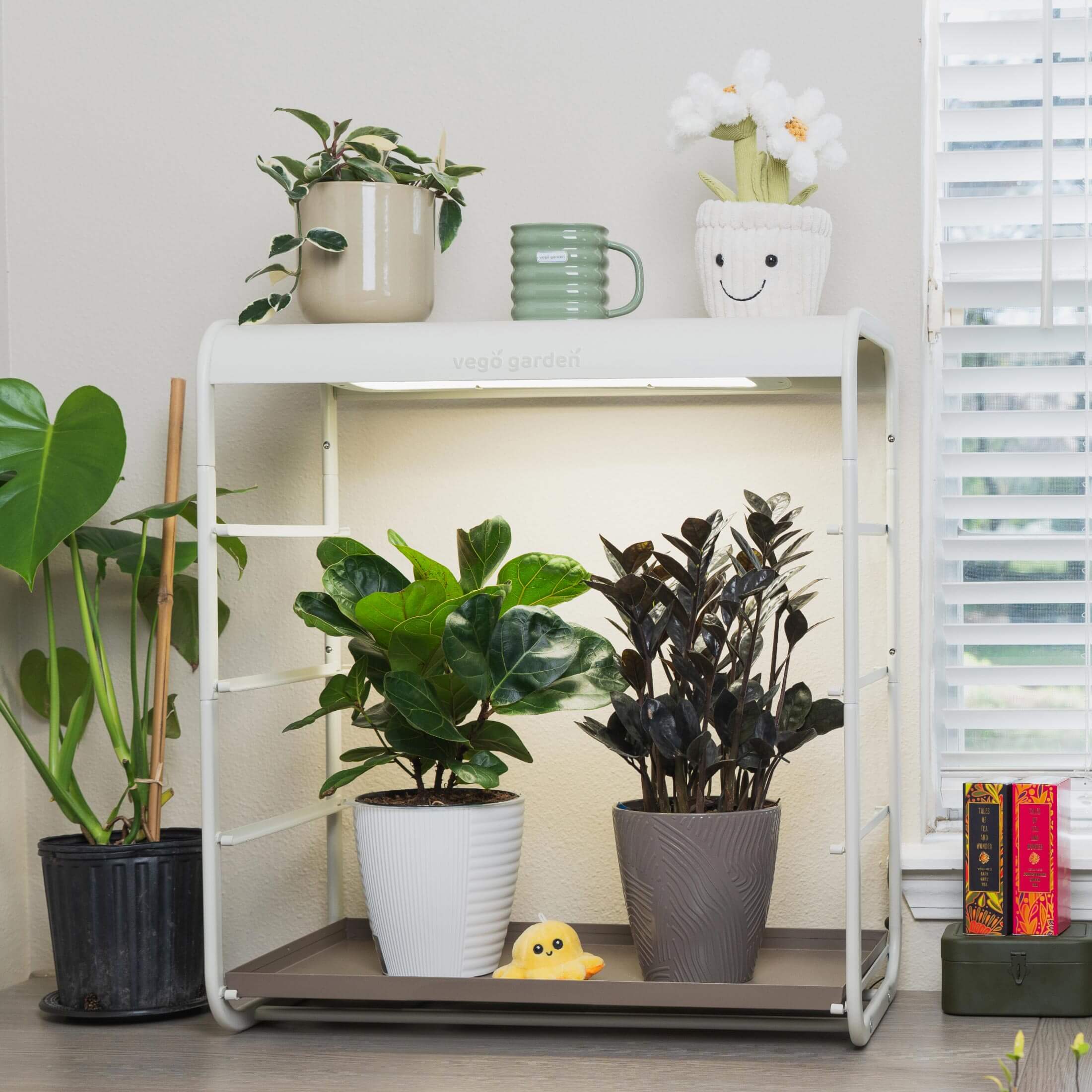 1 Tier Tabletop Grow Light Garden - Image 18