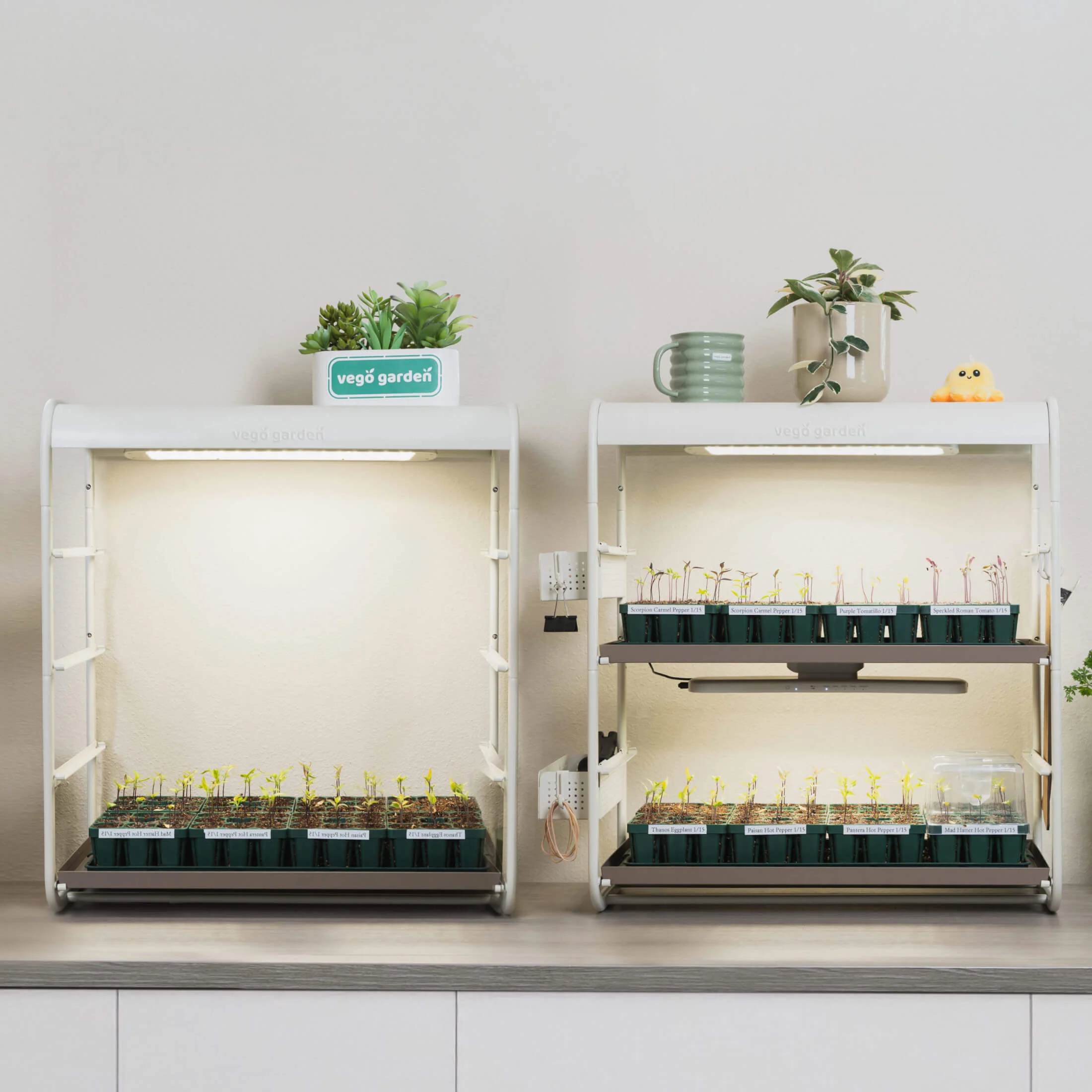 1 Tier Tabletop Grow Light Garden - Image 19