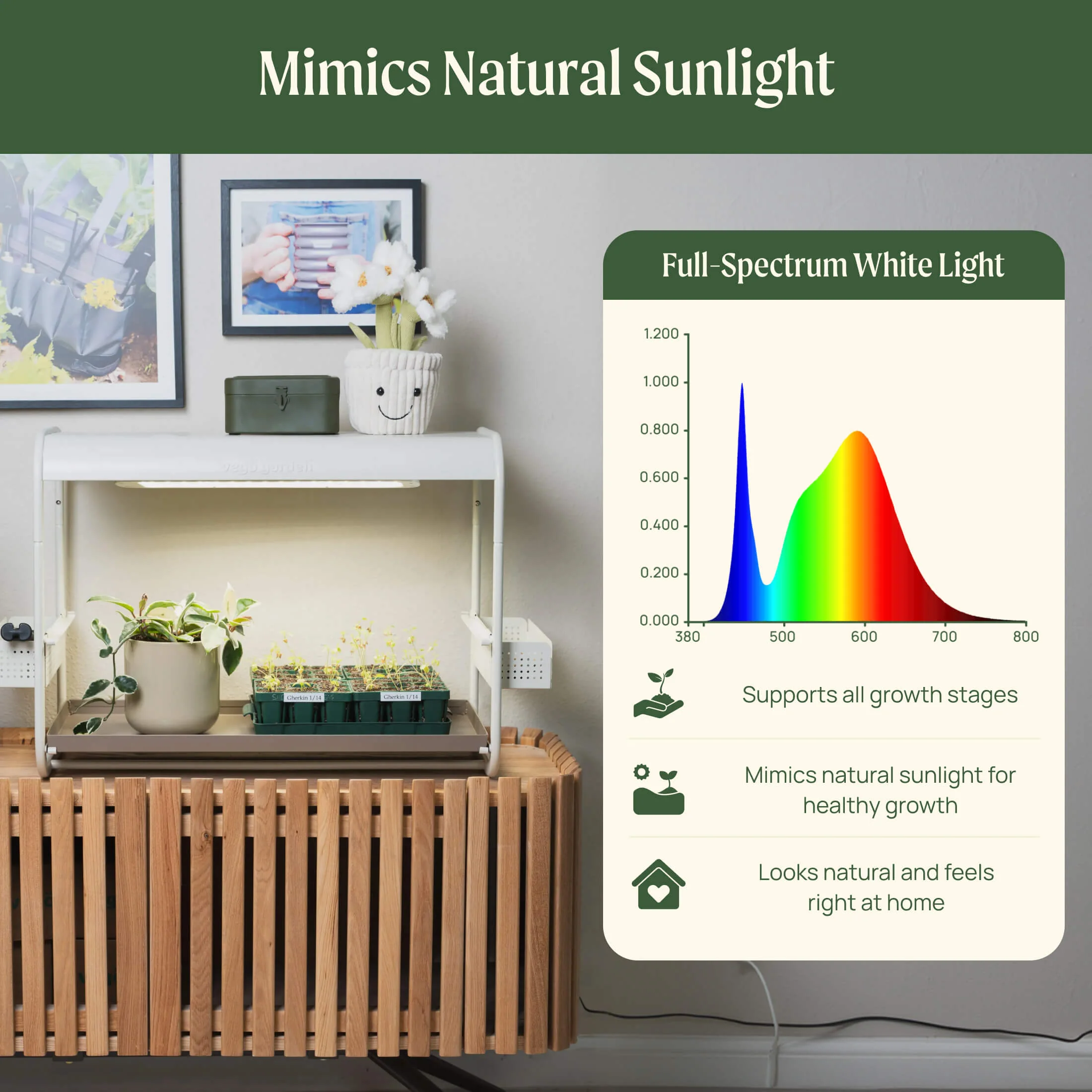 1 Tier Tabletop Grow Light Garden - Image 5