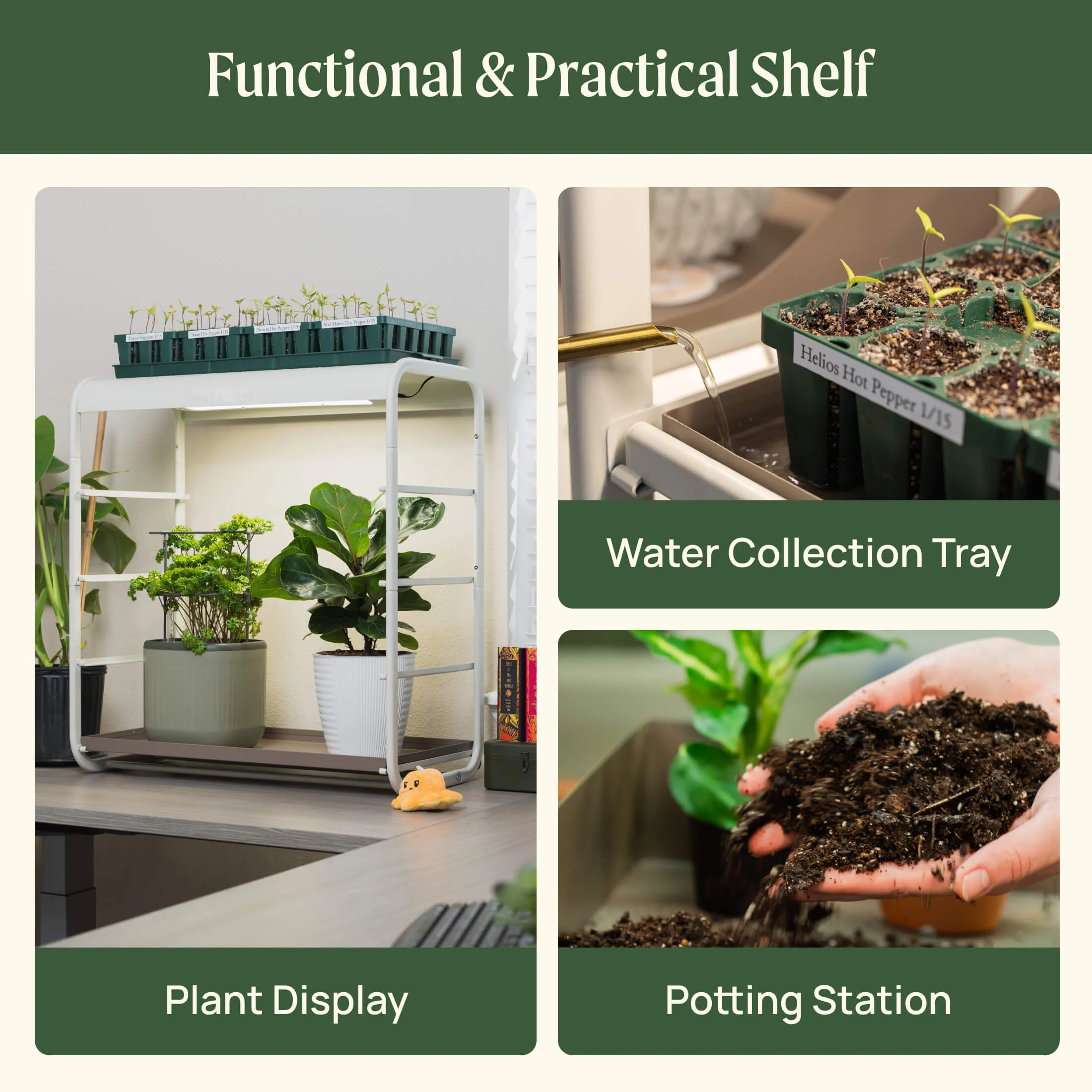 1 Tier Tabletop Grow Light Garden - Image 7