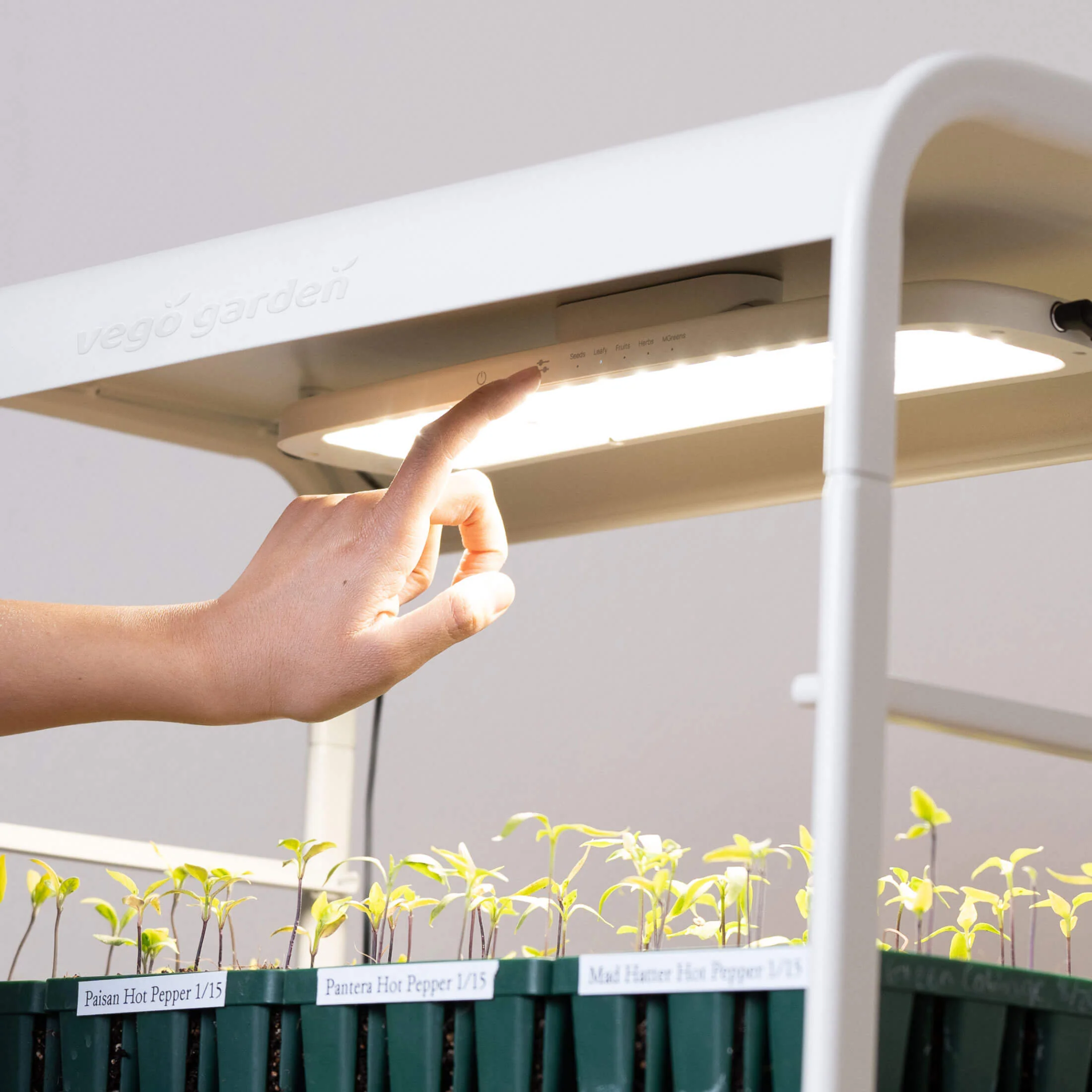 2 Tier Tabletop Grow Light Garden - Image 11